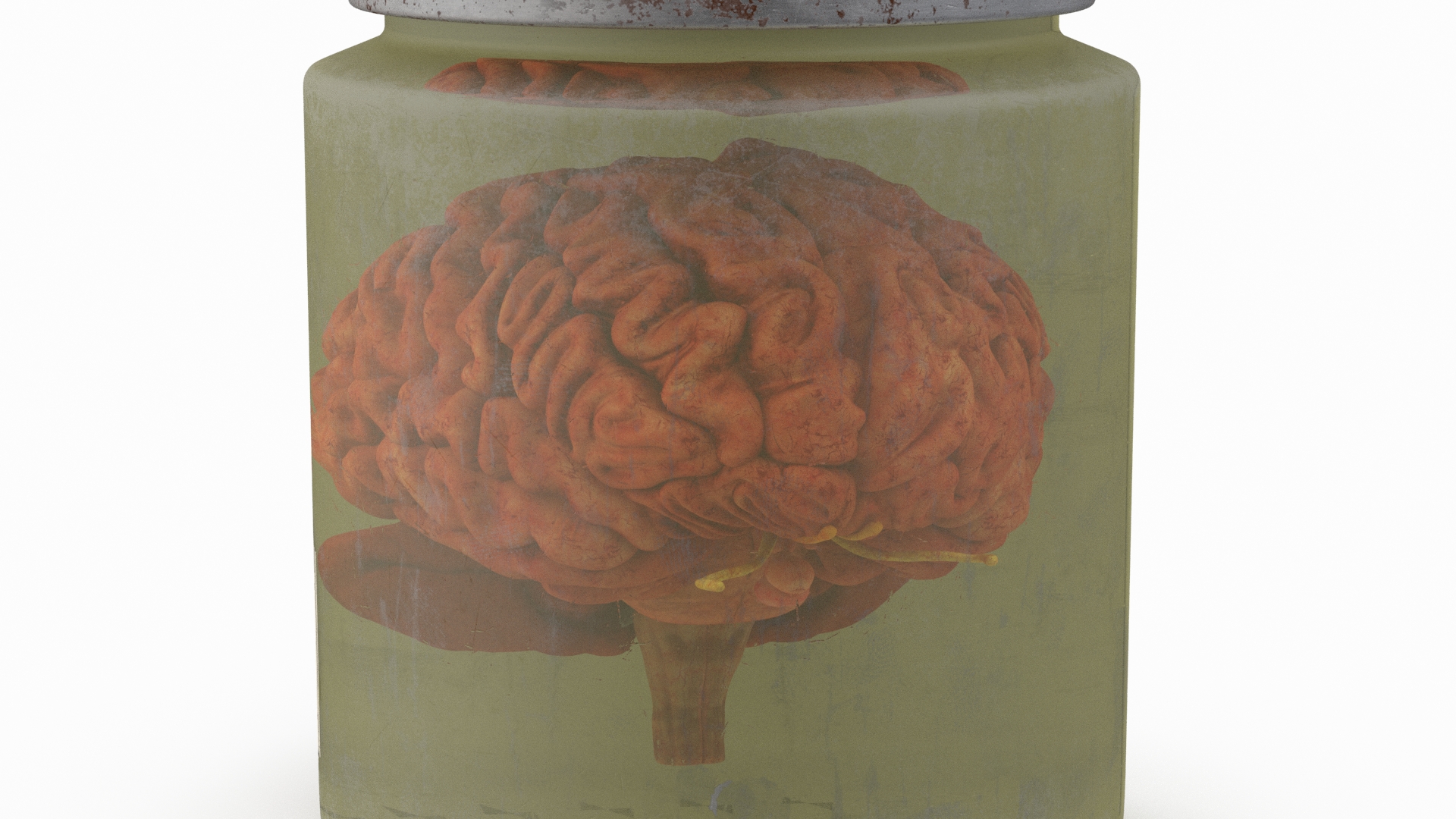 3D Human Brain in Old Glass Jar model