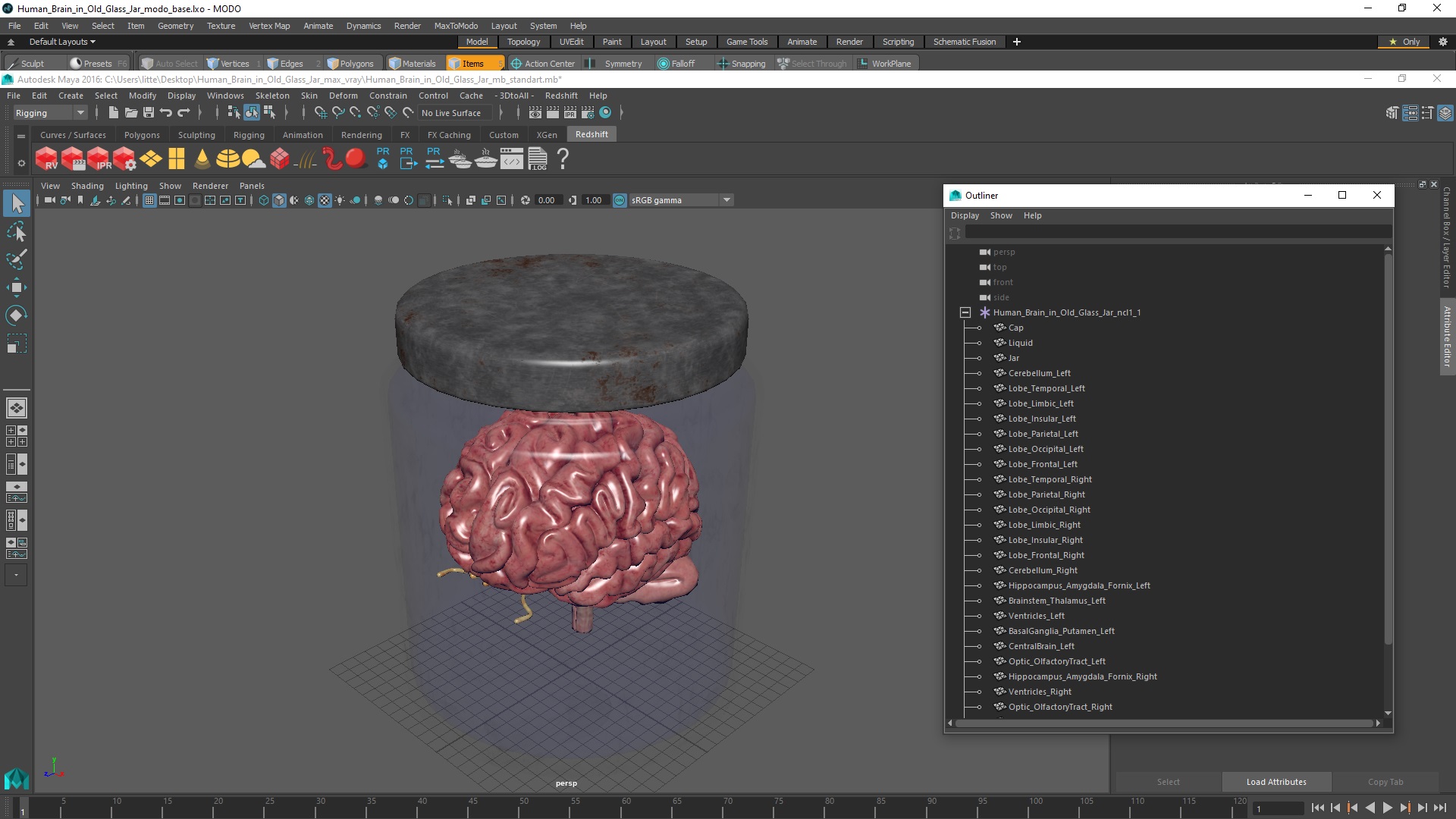 3D Human Brain in Old Glass Jar model