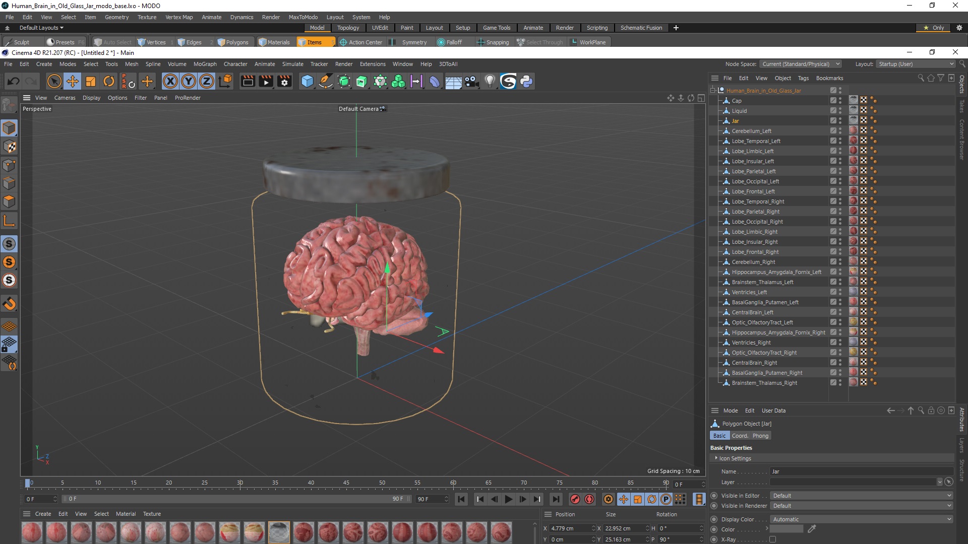 3D Human Brain in Old Glass Jar model