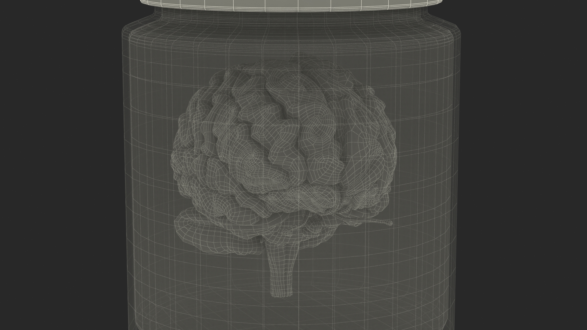 3D Human Brain in Old Glass Jar model