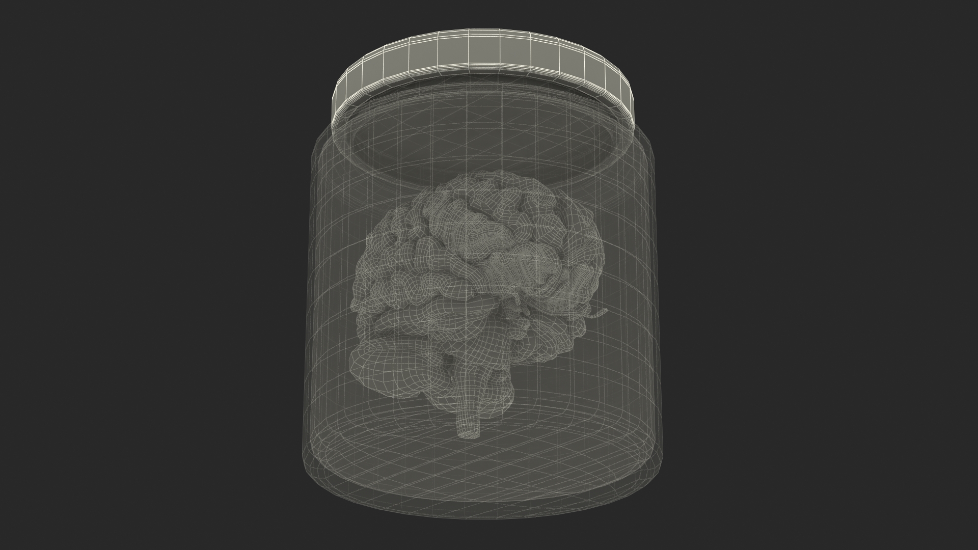 3D Human Brain in Old Glass Jar model