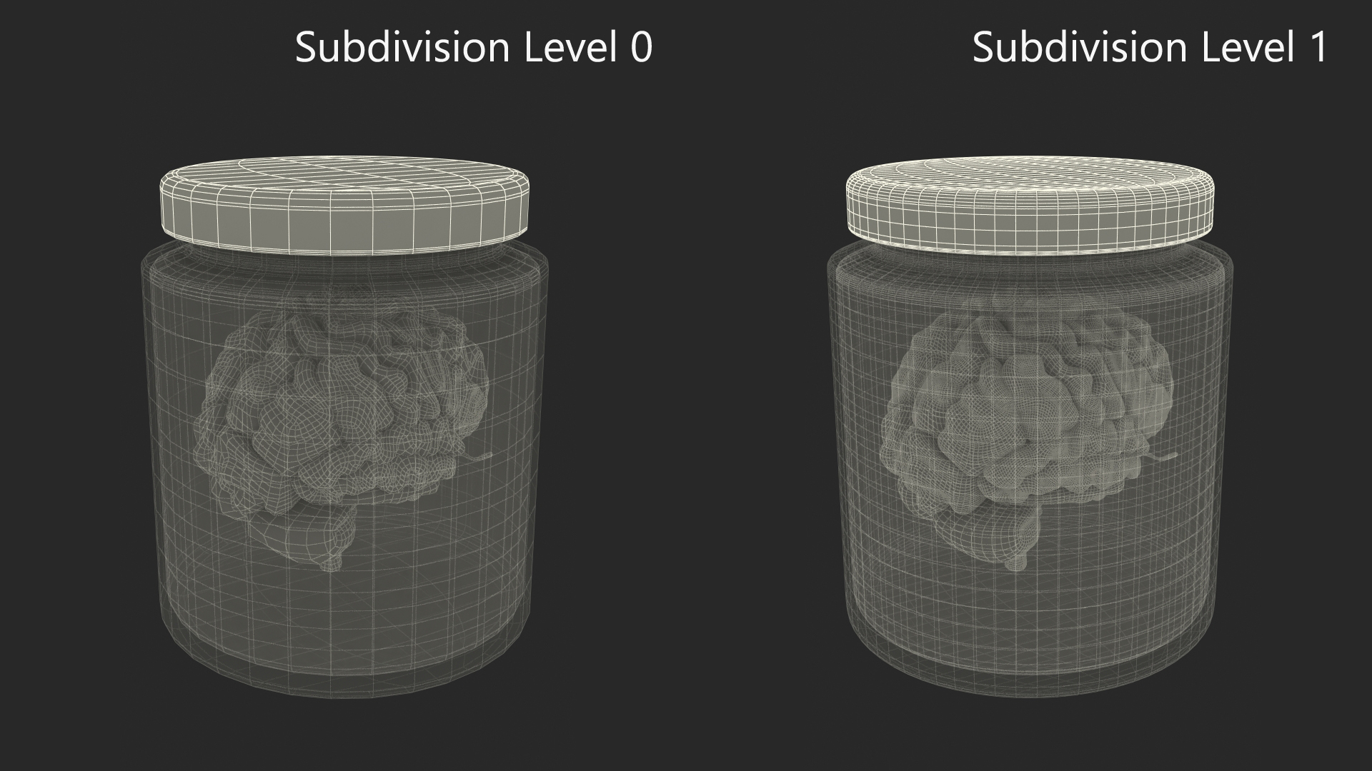 3D Human Brain in Old Glass Jar model