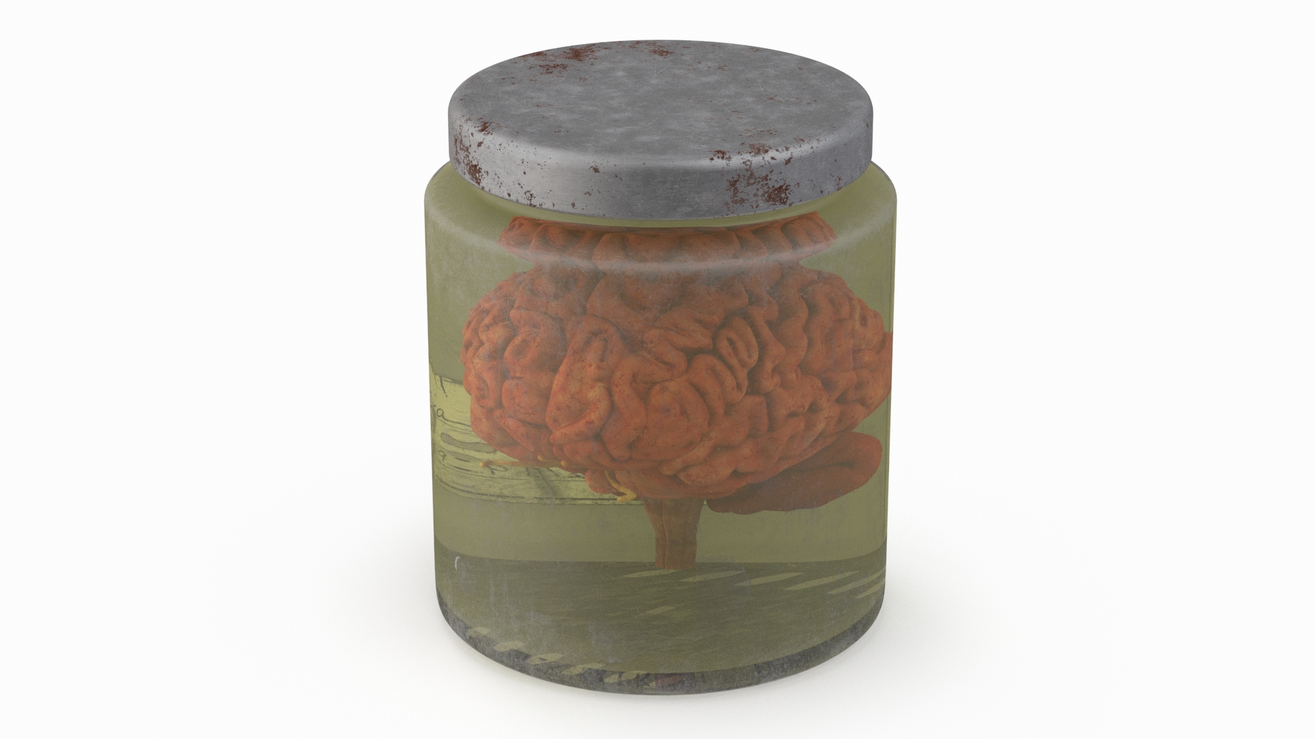 3D Human Brain in Old Glass Jar model