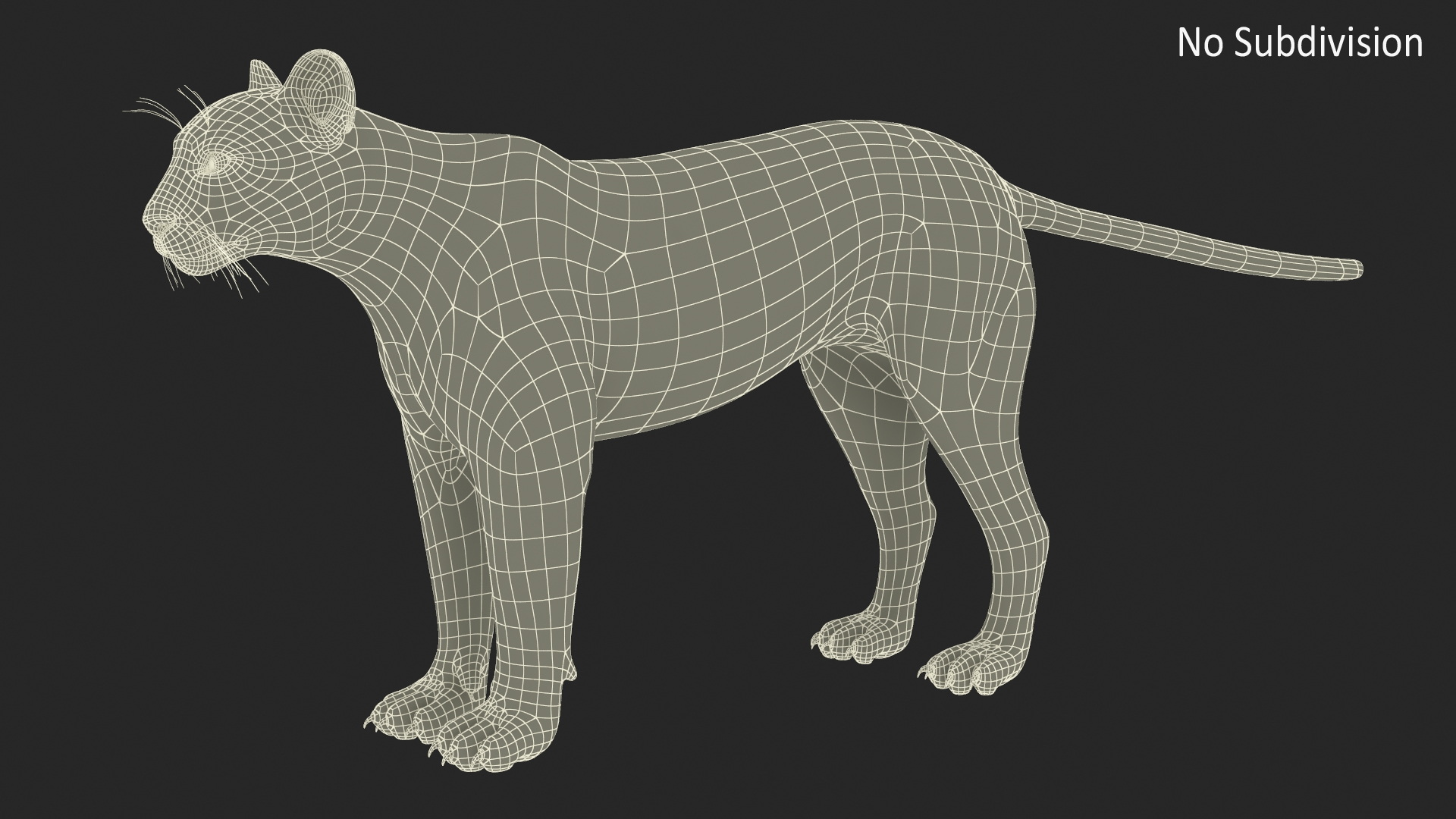 3D model Puma