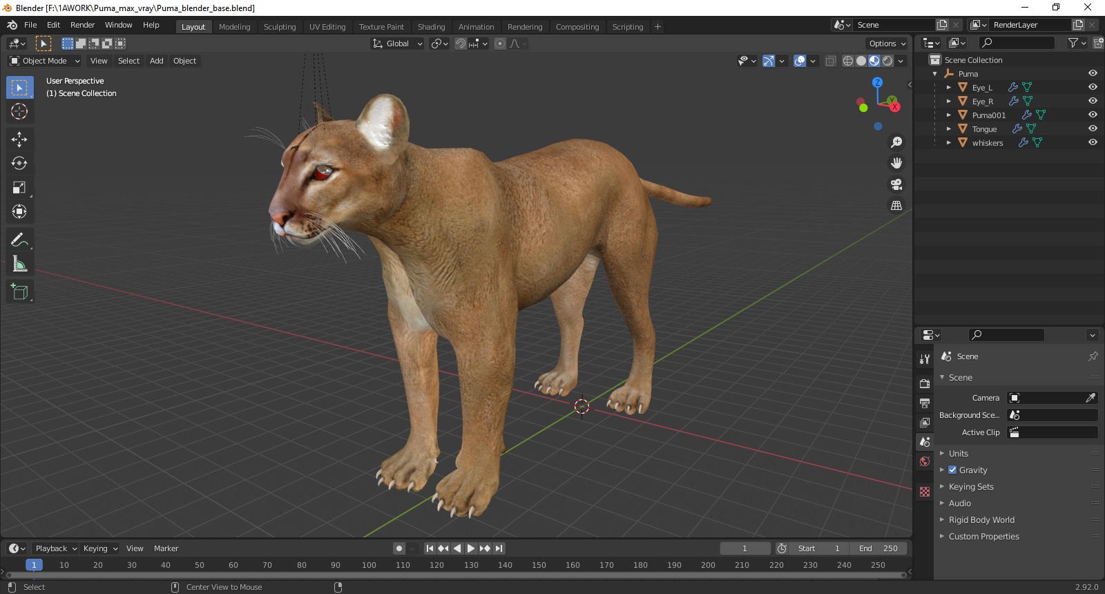 3D model Puma