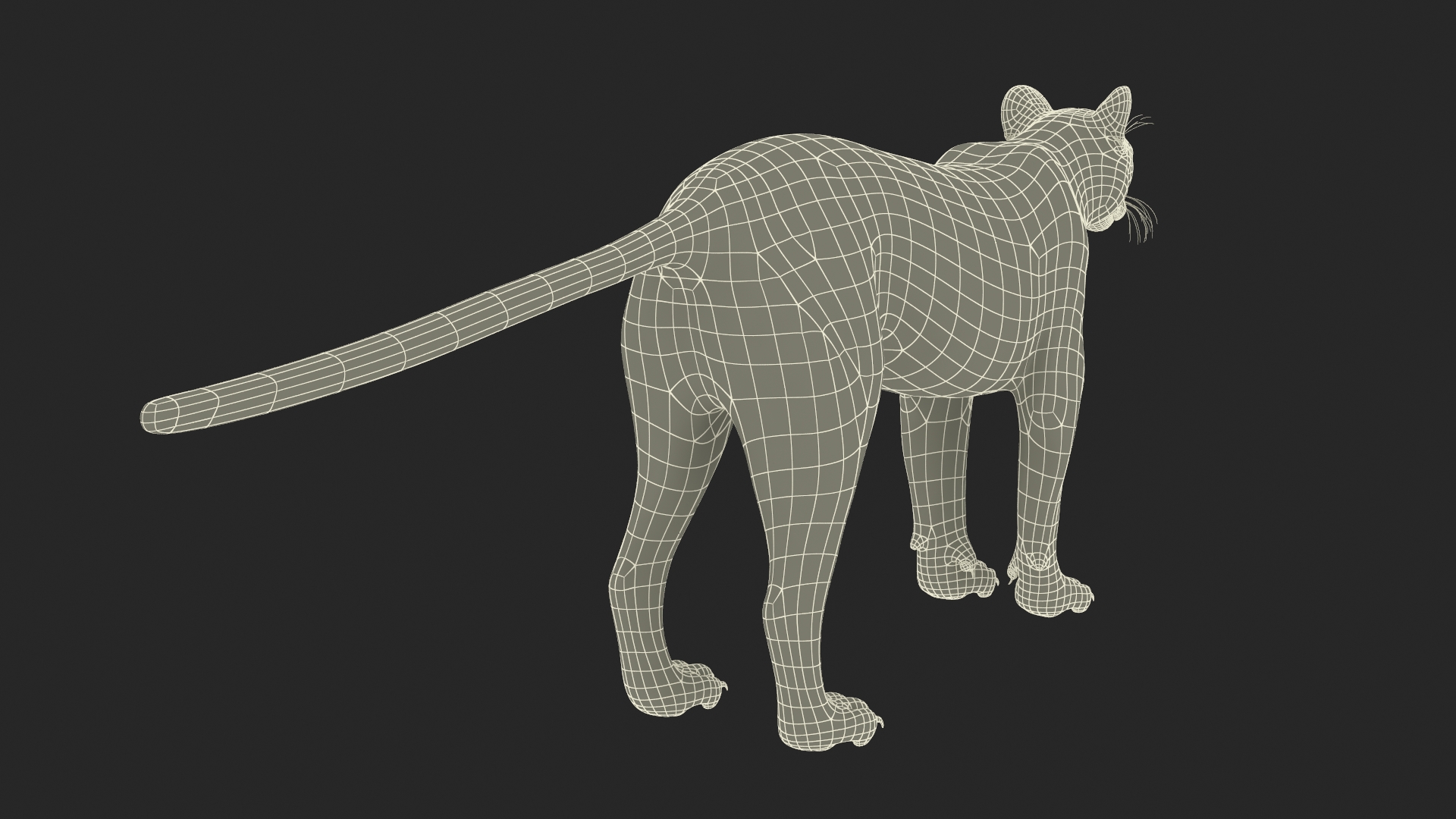 3D model Puma