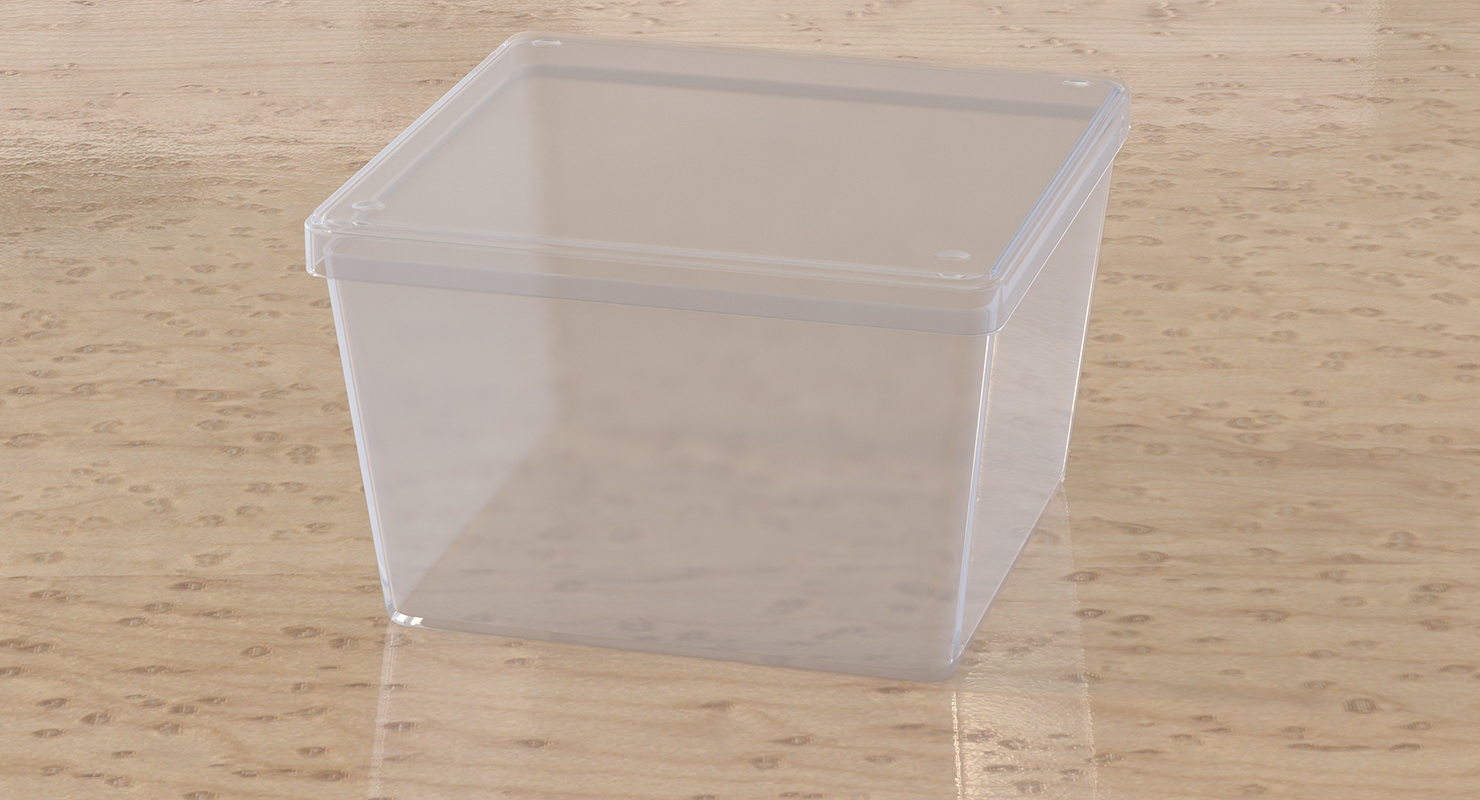 Empty Square Plastic Box 3D model