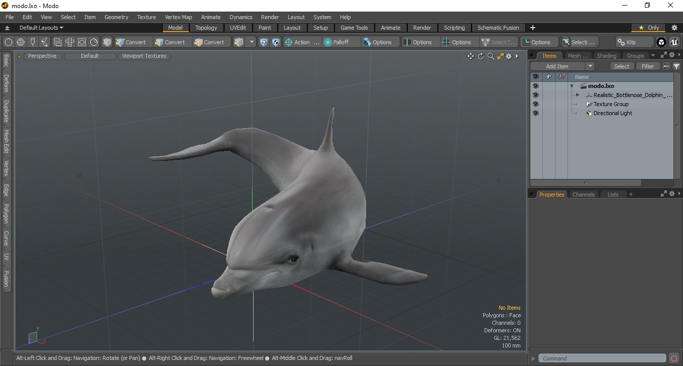 3D Realistic Bottlenose Dolphin Turn model