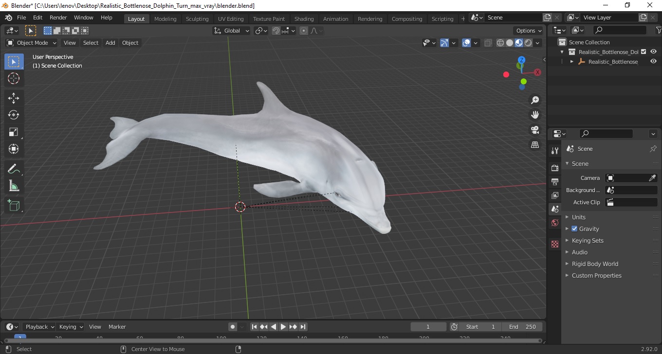 3D Realistic Bottlenose Dolphin Turn model