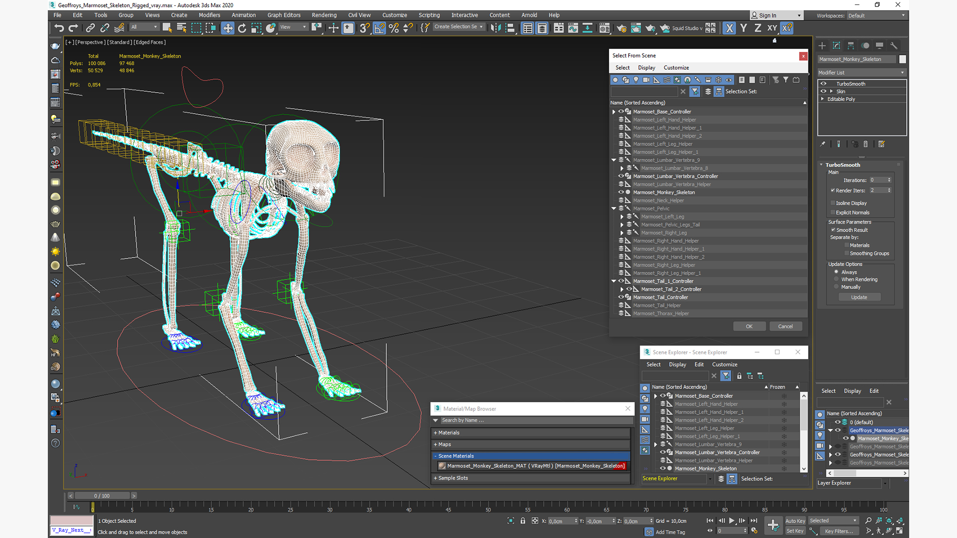 Geoffroys Marmoset Skeleton Rigged 3D model