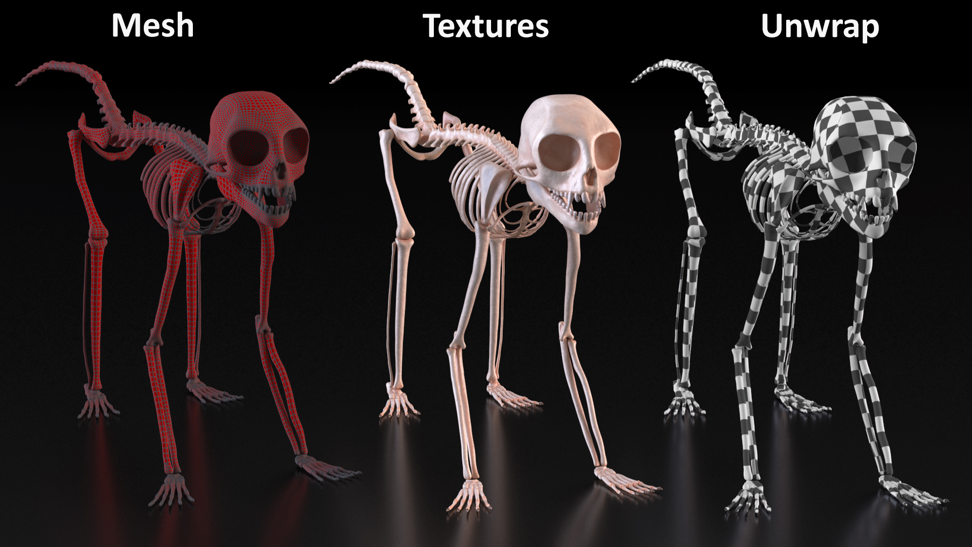 Geoffroys Marmoset Skeleton Rigged 3D model