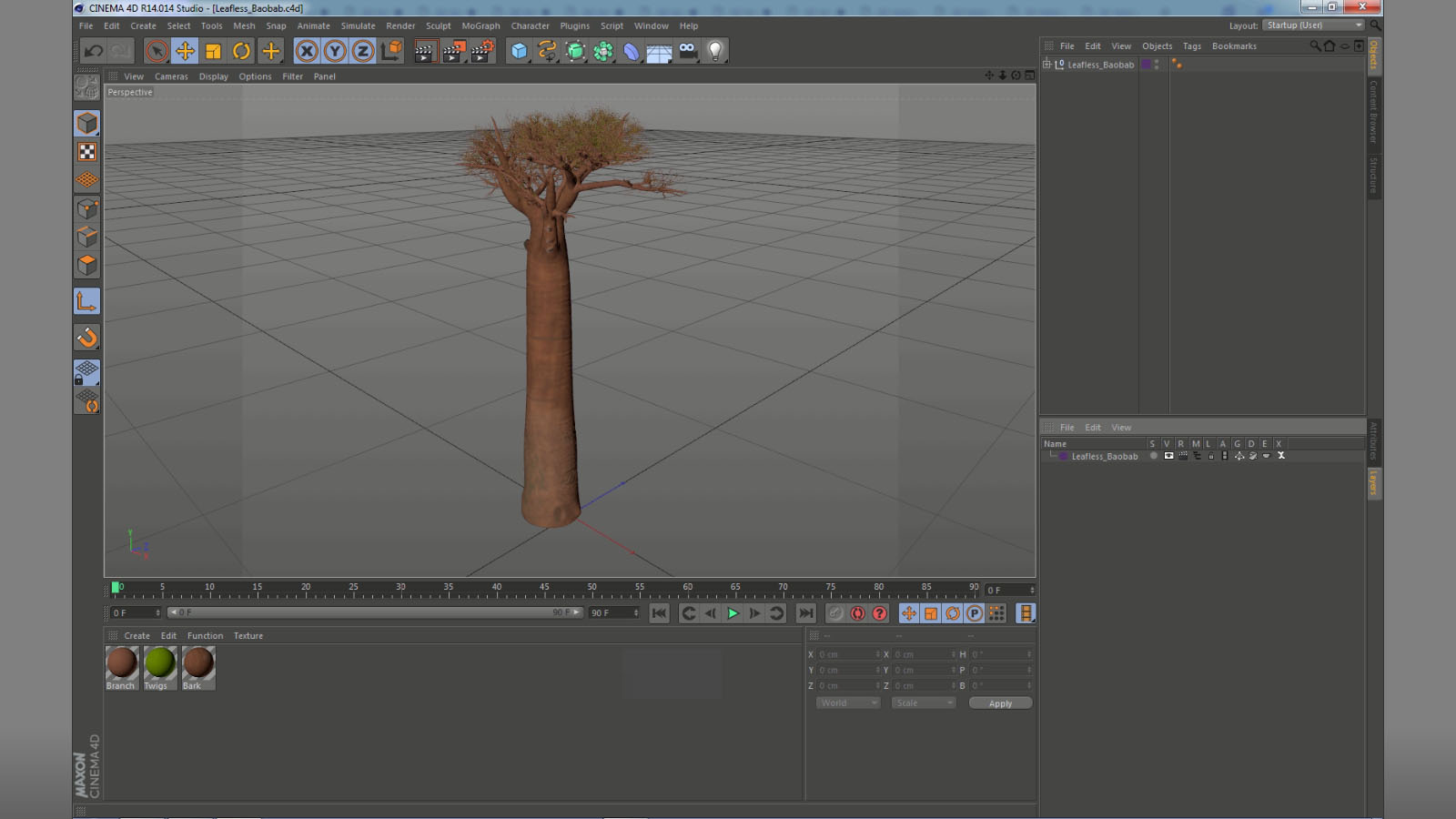 3D model Leafless Baobab