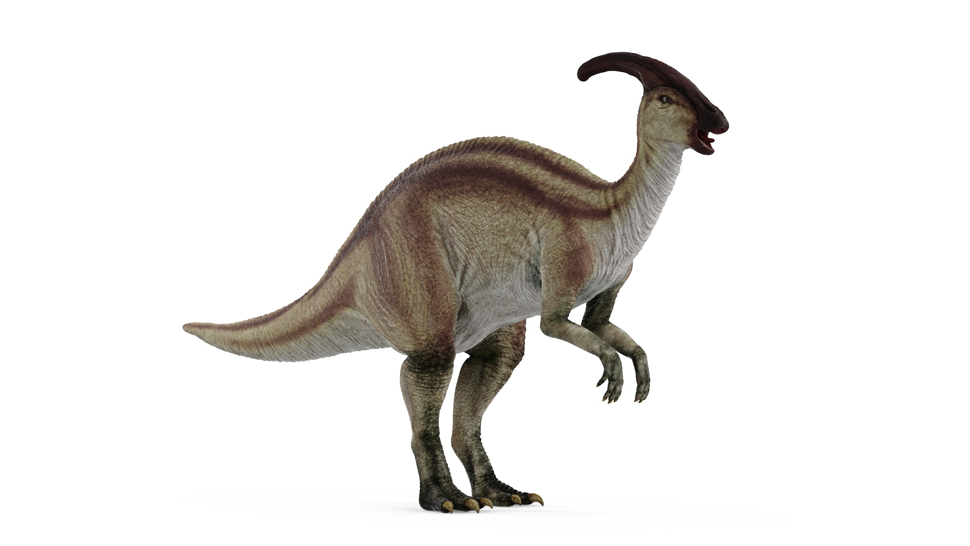 Parasaurolophus Dinosaur 3D model