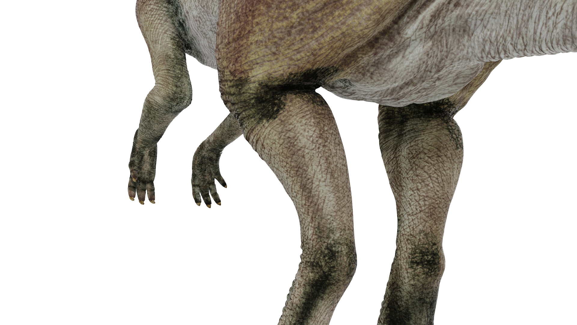 Parasaurolophus Dinosaur 3D model