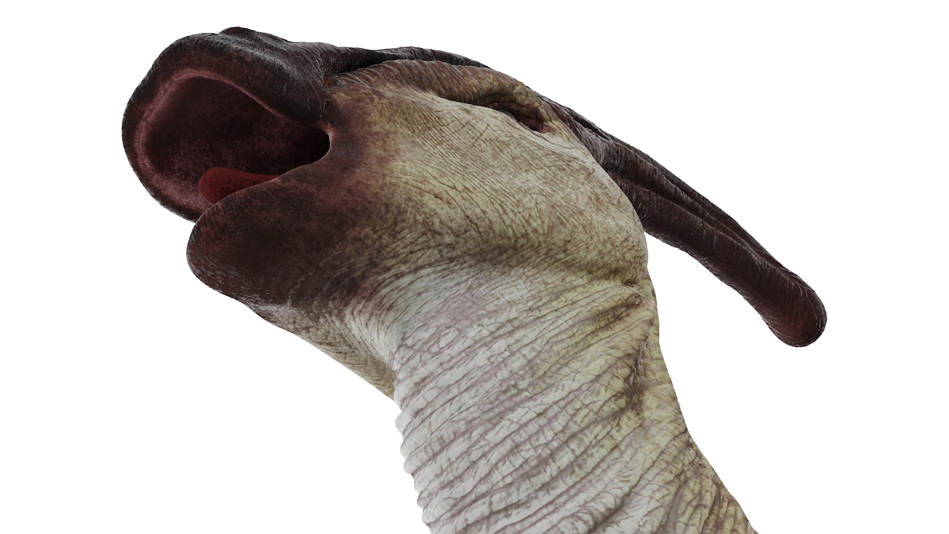 Parasaurolophus Dinosaur 3D model