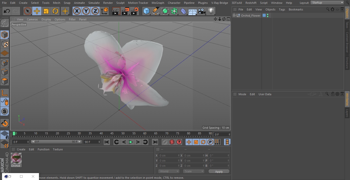 3D Orchid Flower model