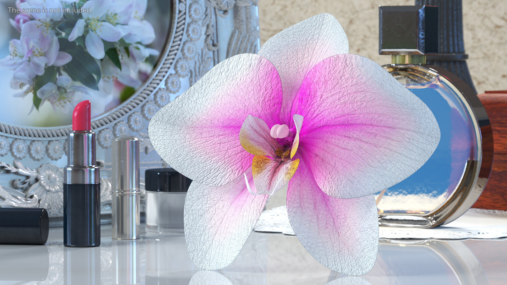 3D Orchid Flower model