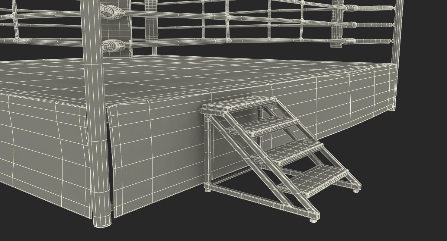 Complete Competition Boxing Ring 3D