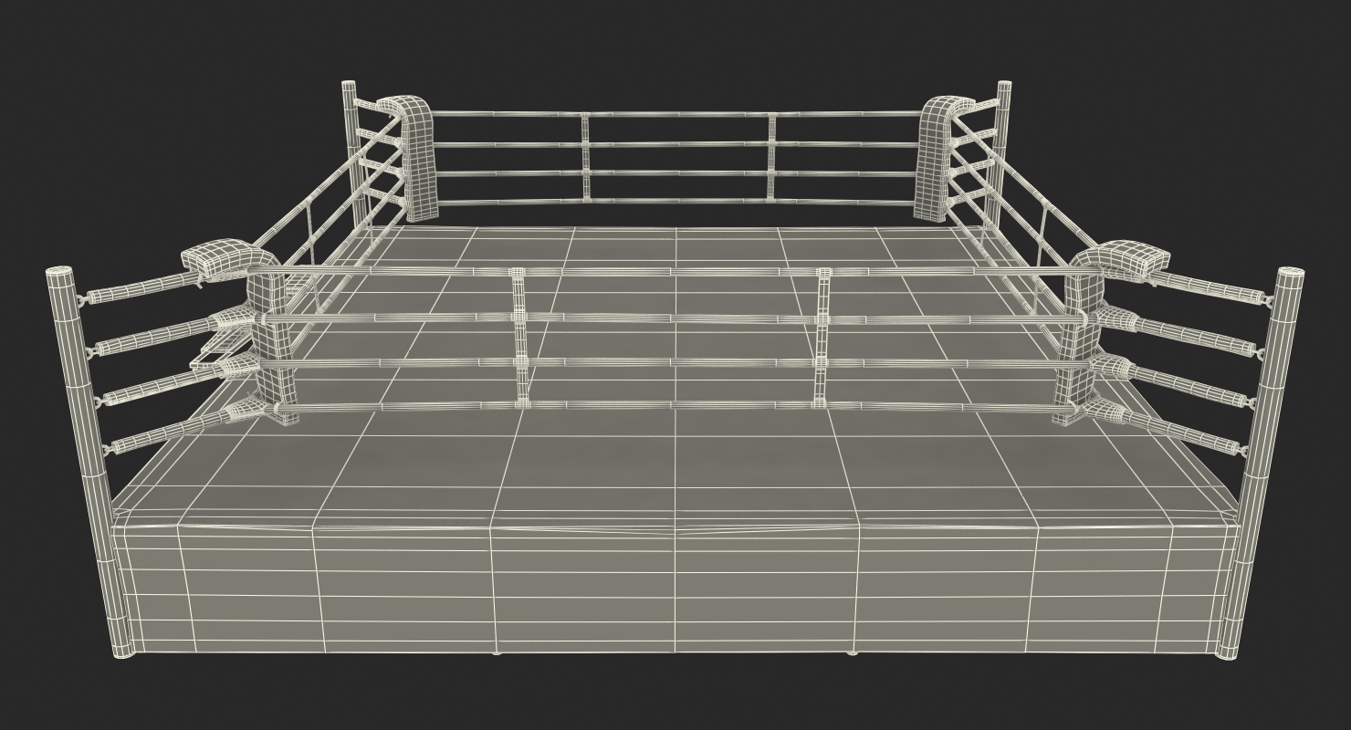 Complete Competition Boxing Ring 3D