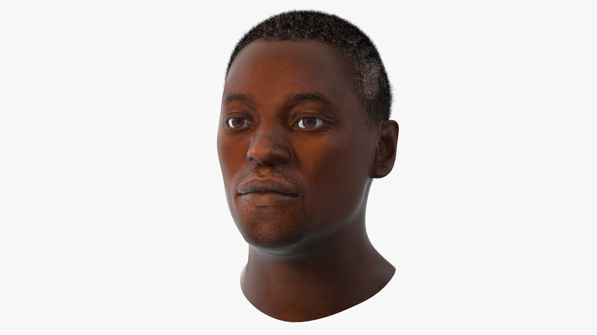 Handsome African American Male Head Rigged 3D