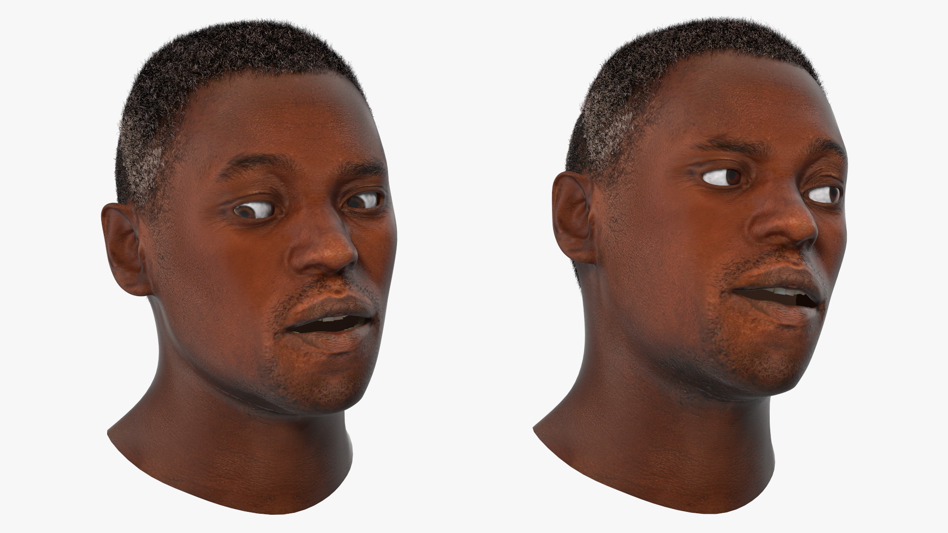 Handsome African American Male Head Rigged 3D