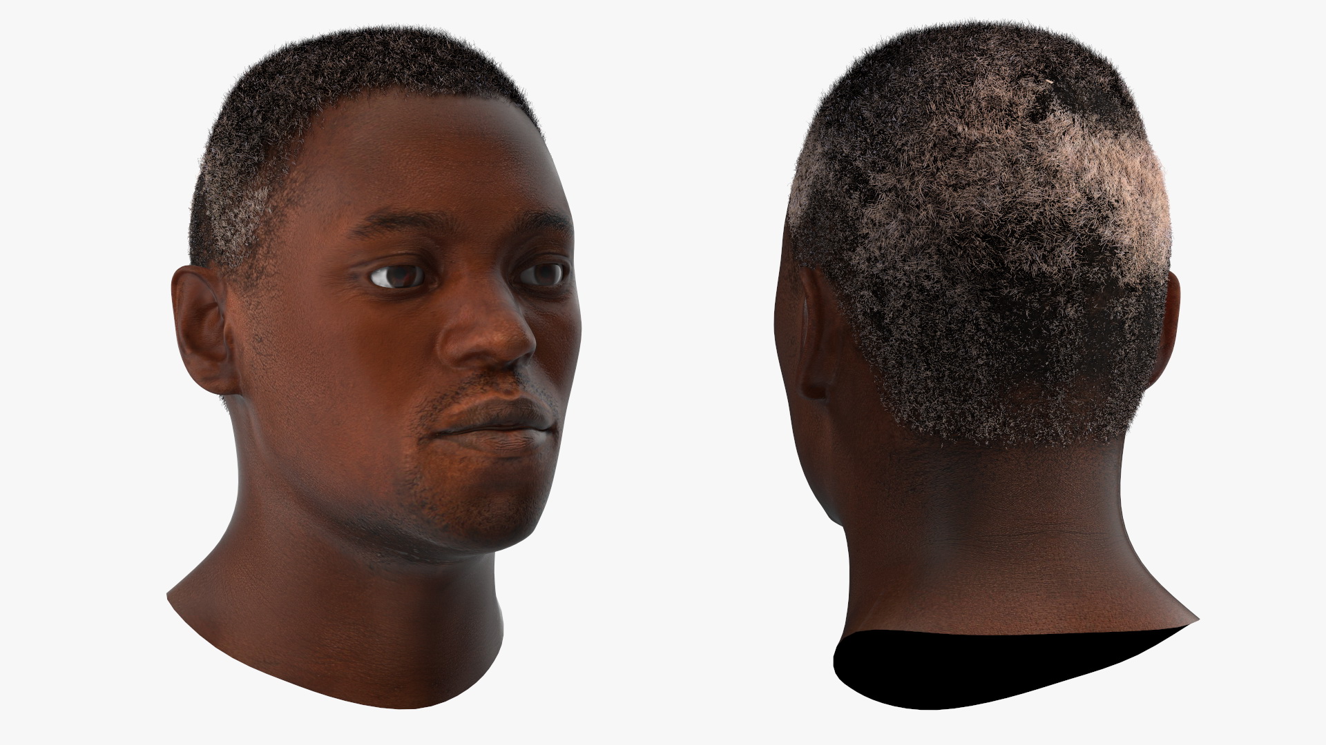 Handsome African American Male Head Rigged 3D