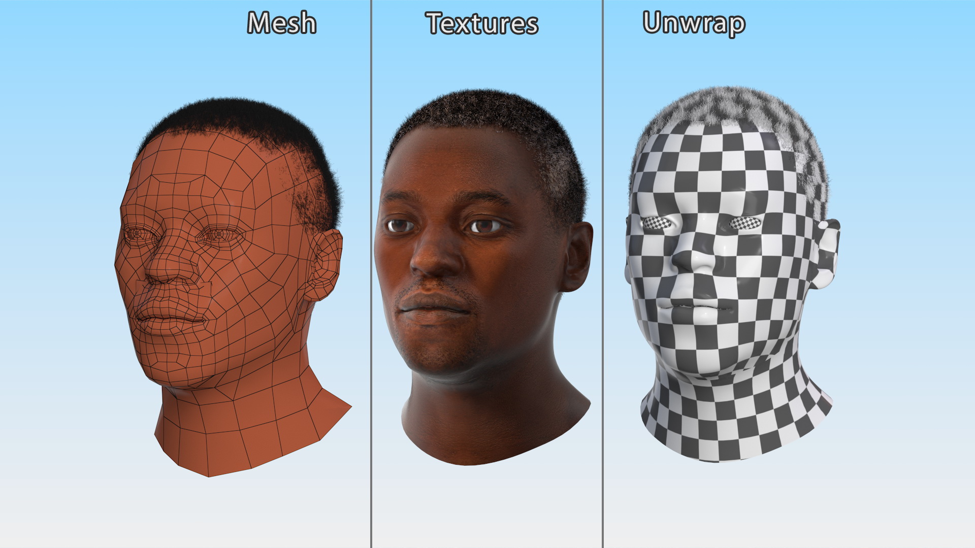 Handsome African American Male Head Rigged 3D