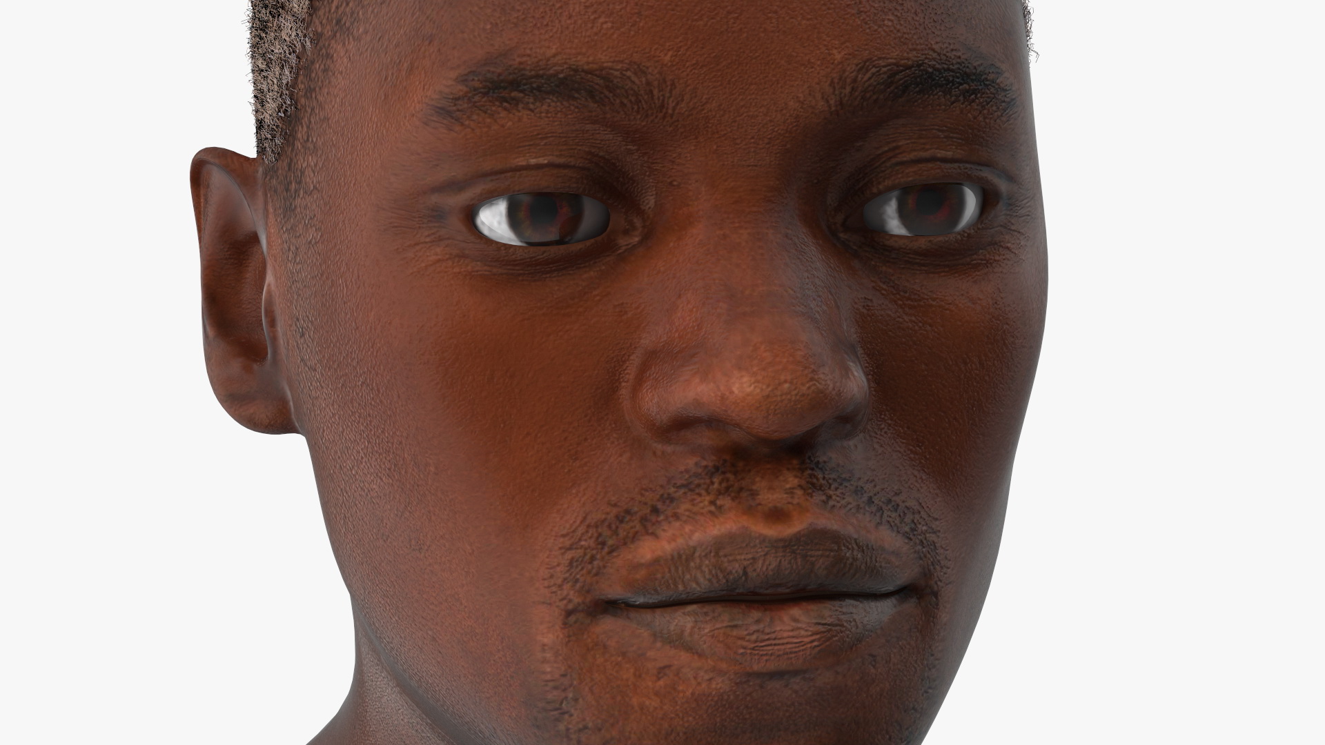 Handsome African American Male Head Rigged 3D