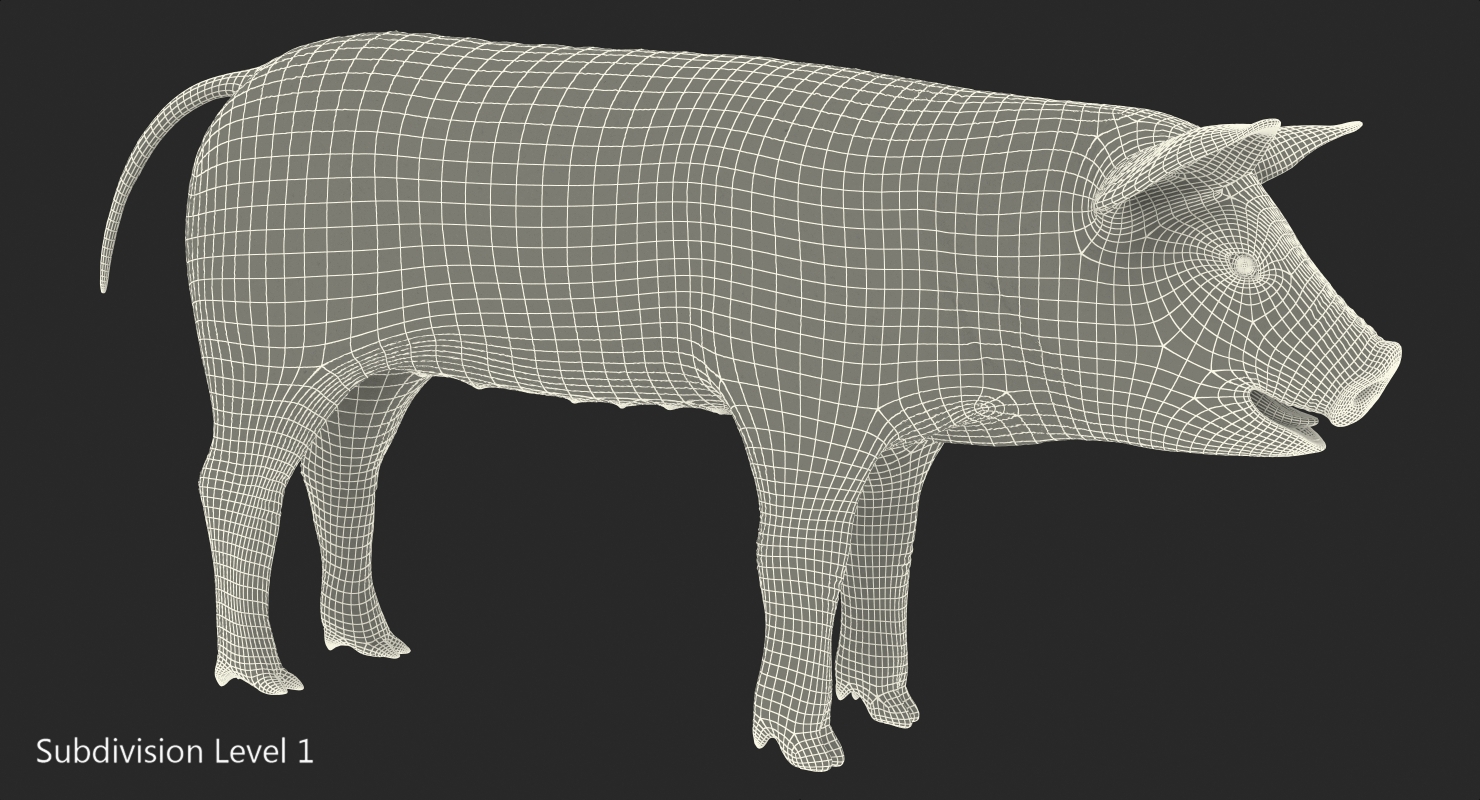 Pig Piglet Pietrain 3D model