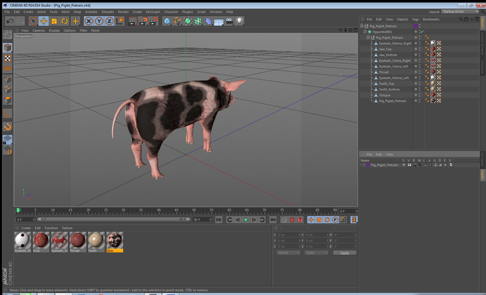 Pig Piglet Pietrain 3D model