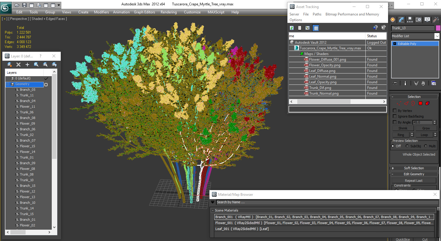 Tuscarora Crape Myrtle Tree 3D