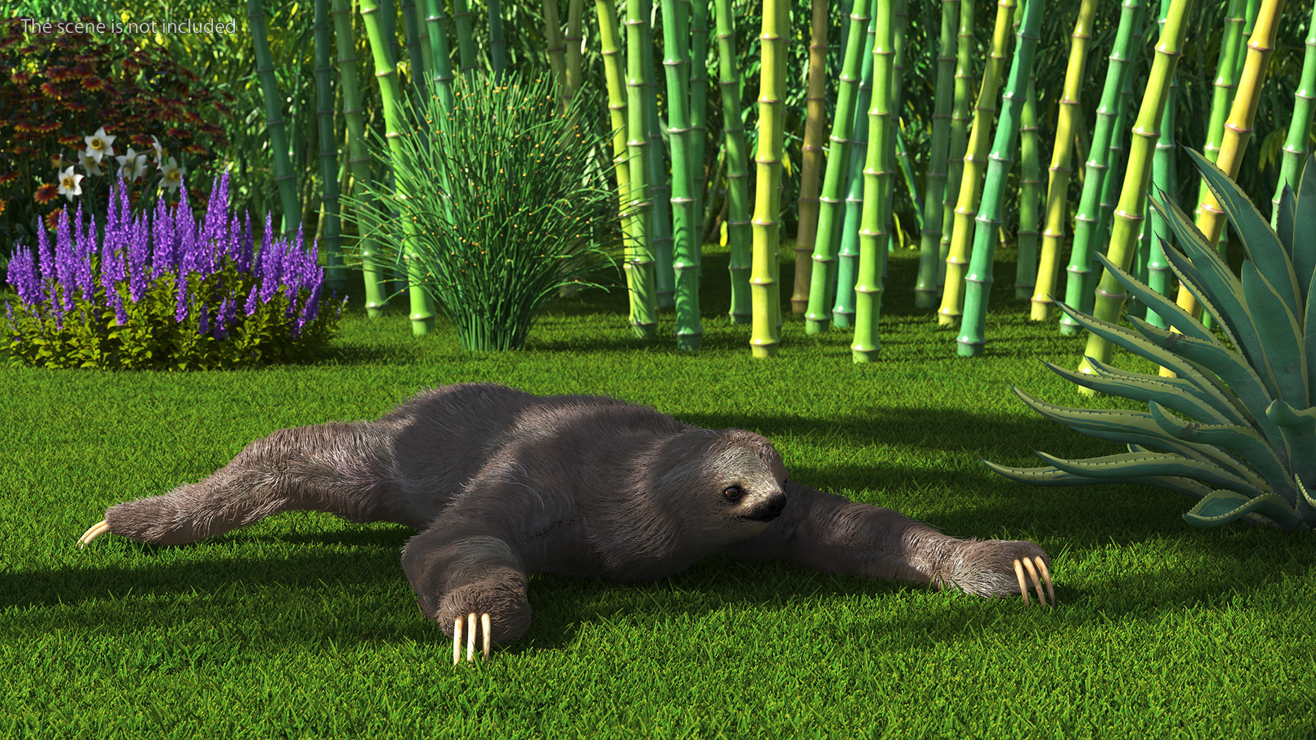 3D Sloth Crawls Fur