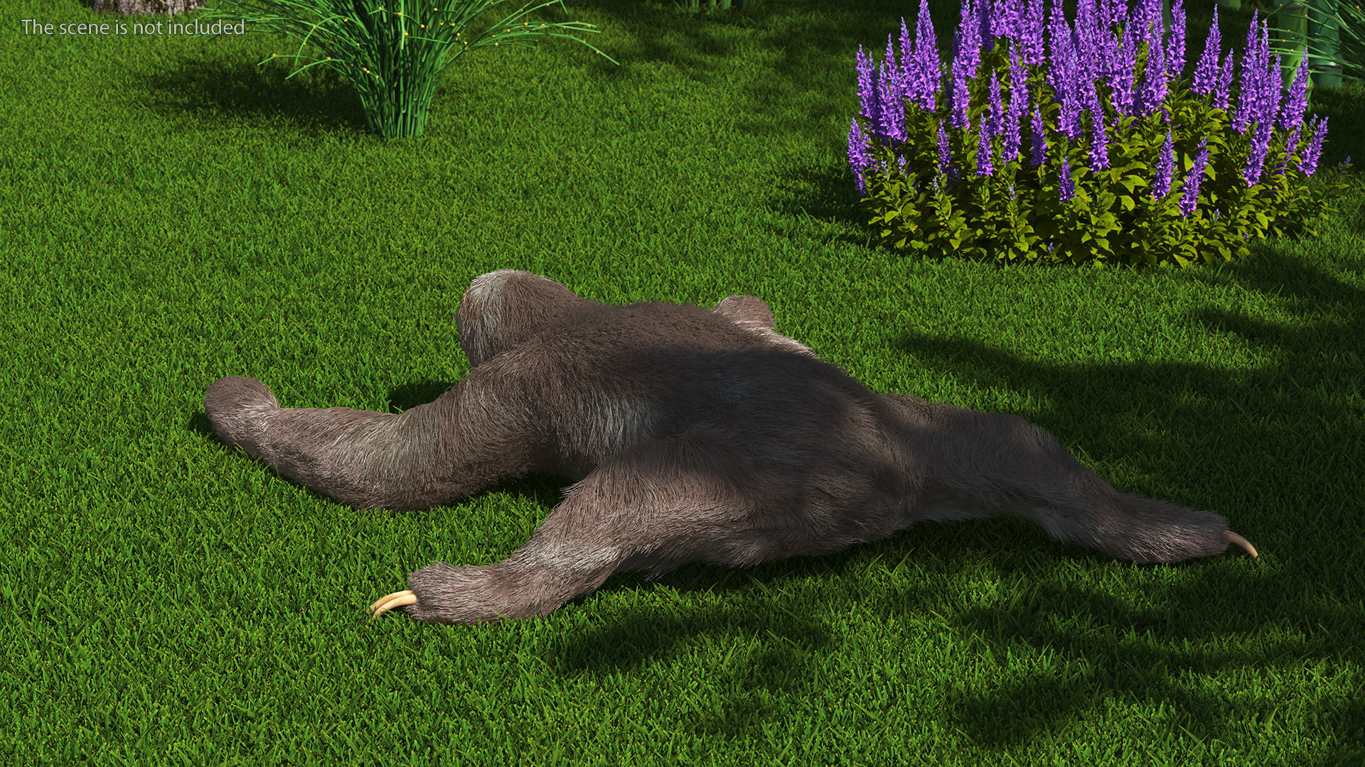 3D Sloth Crawls Fur