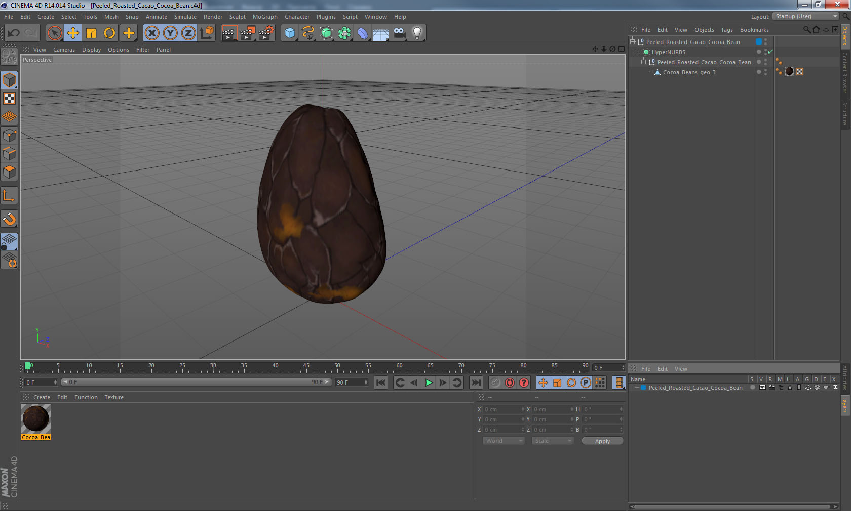 3D Peeled Roasted Cacao Cocoa Bean