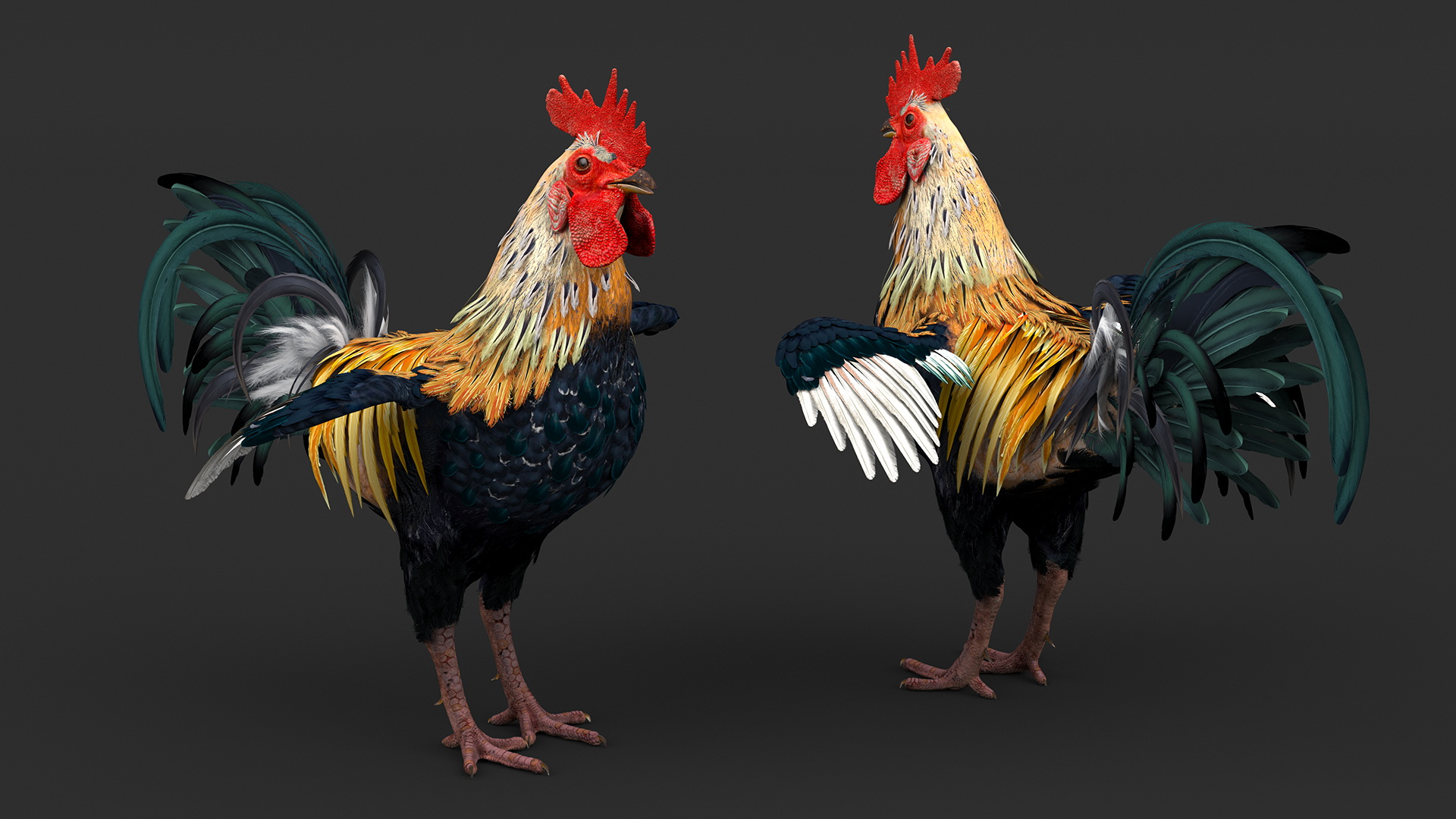 3D model Rainbow Rooster Cock