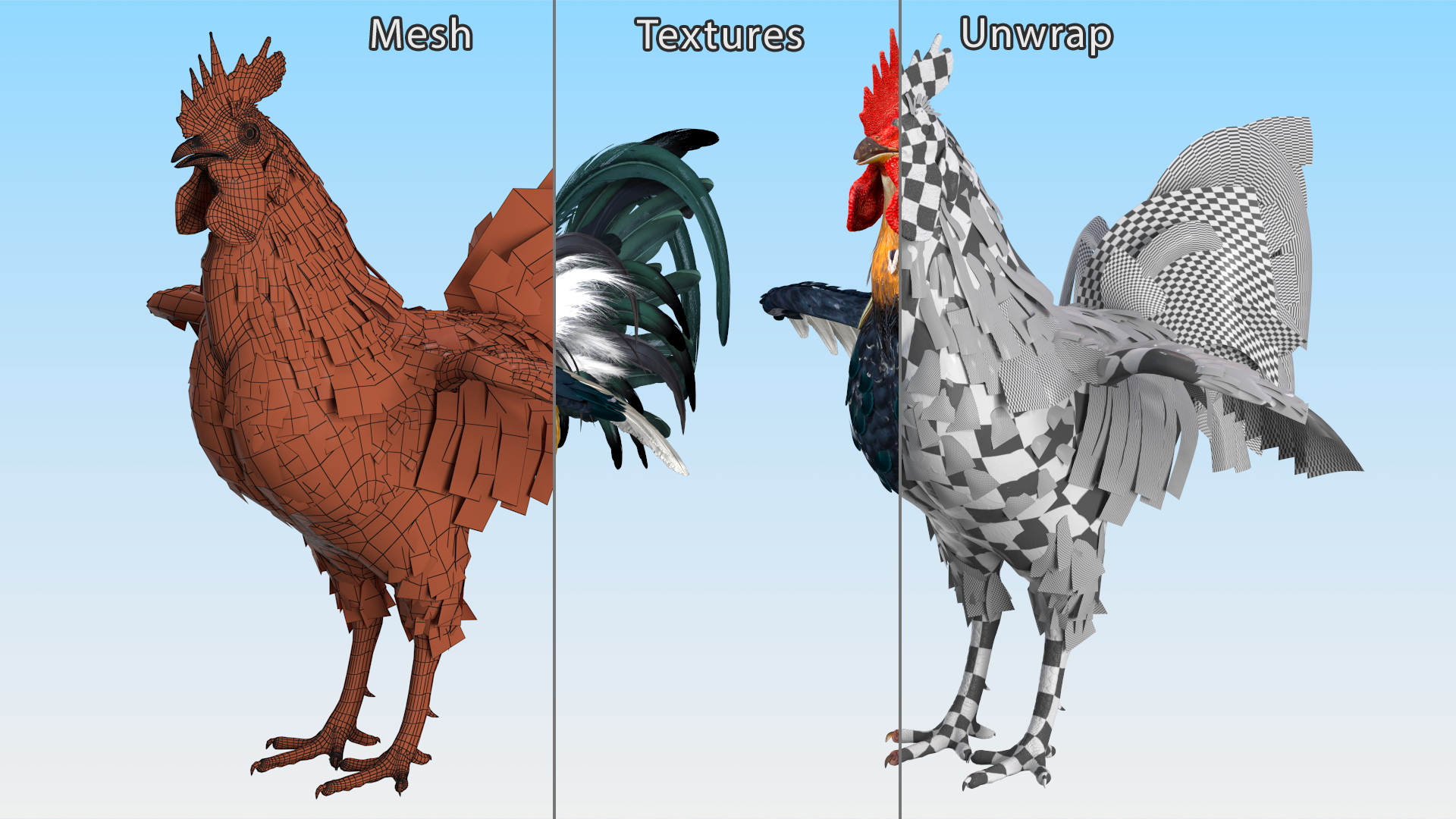 3D model Rainbow Rooster Cock