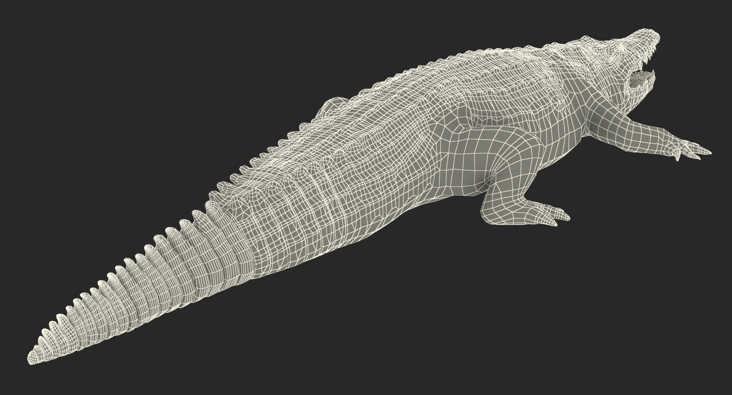 Crocodile 3D model