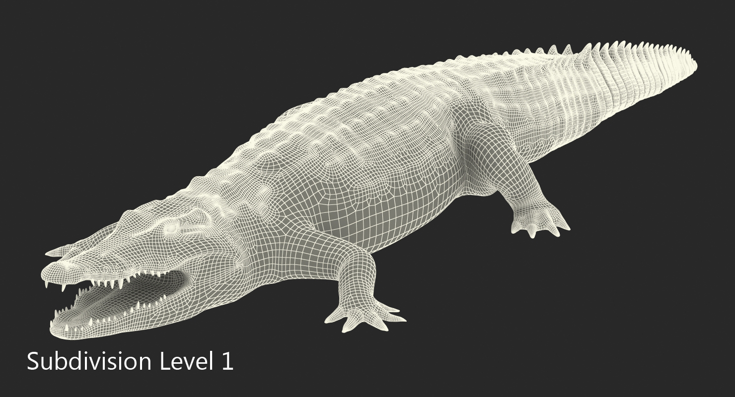 Crocodile 3D model