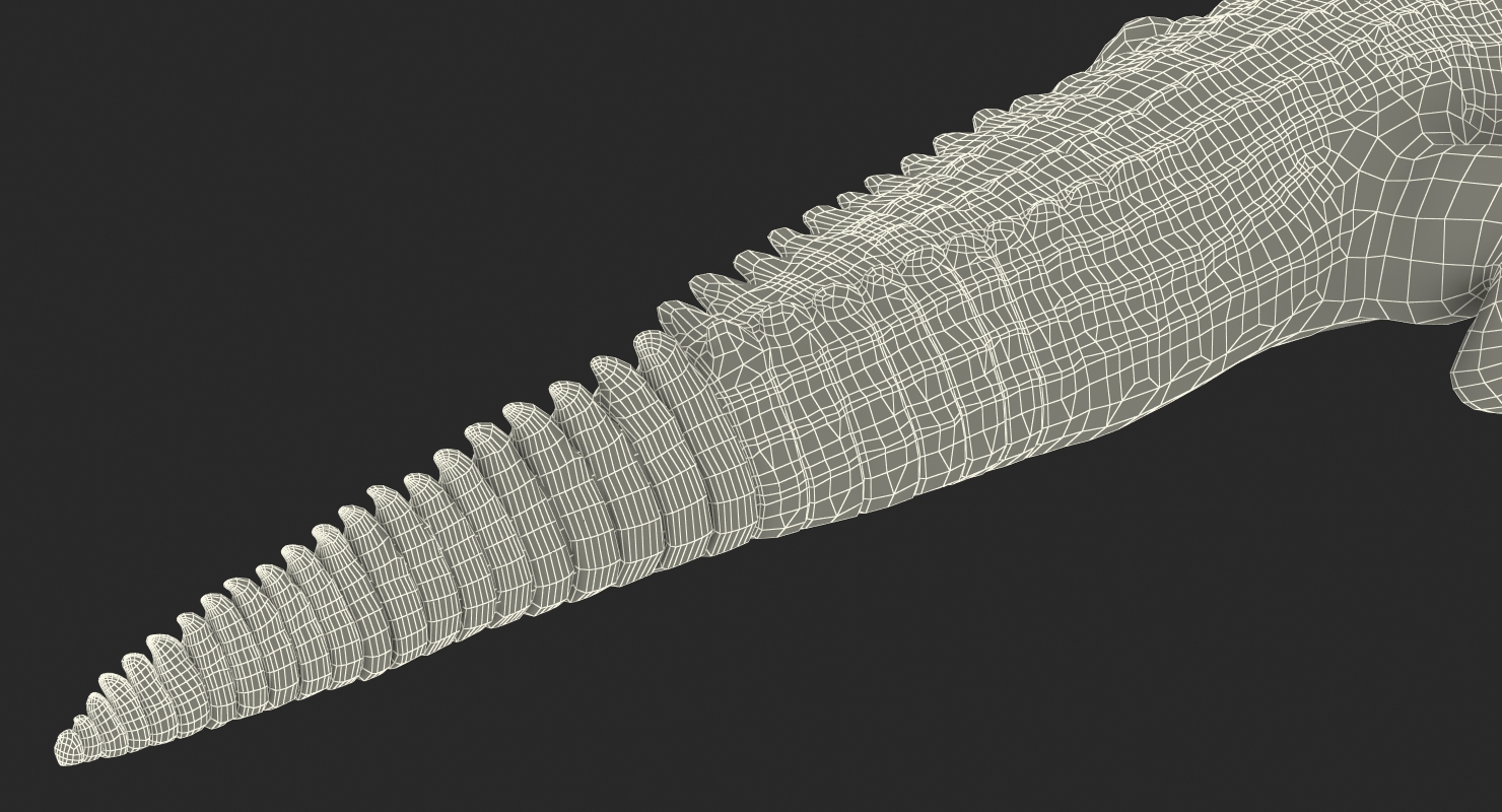 Crocodile 3D model