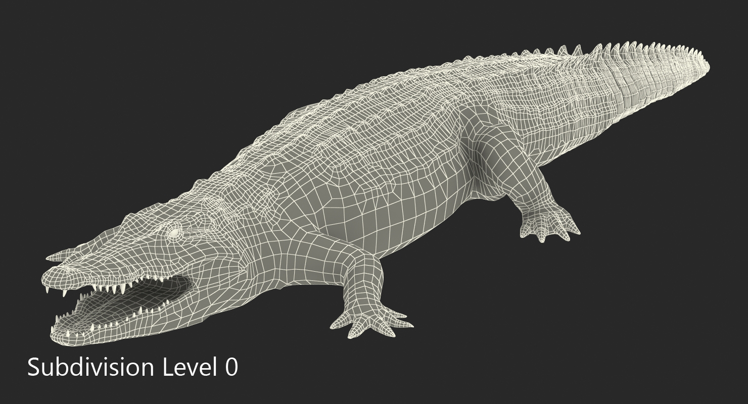 Crocodile 3D model