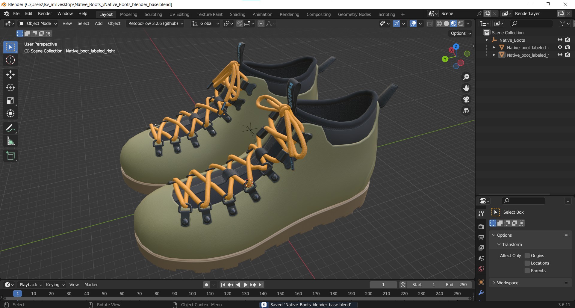 Native Boots 3D