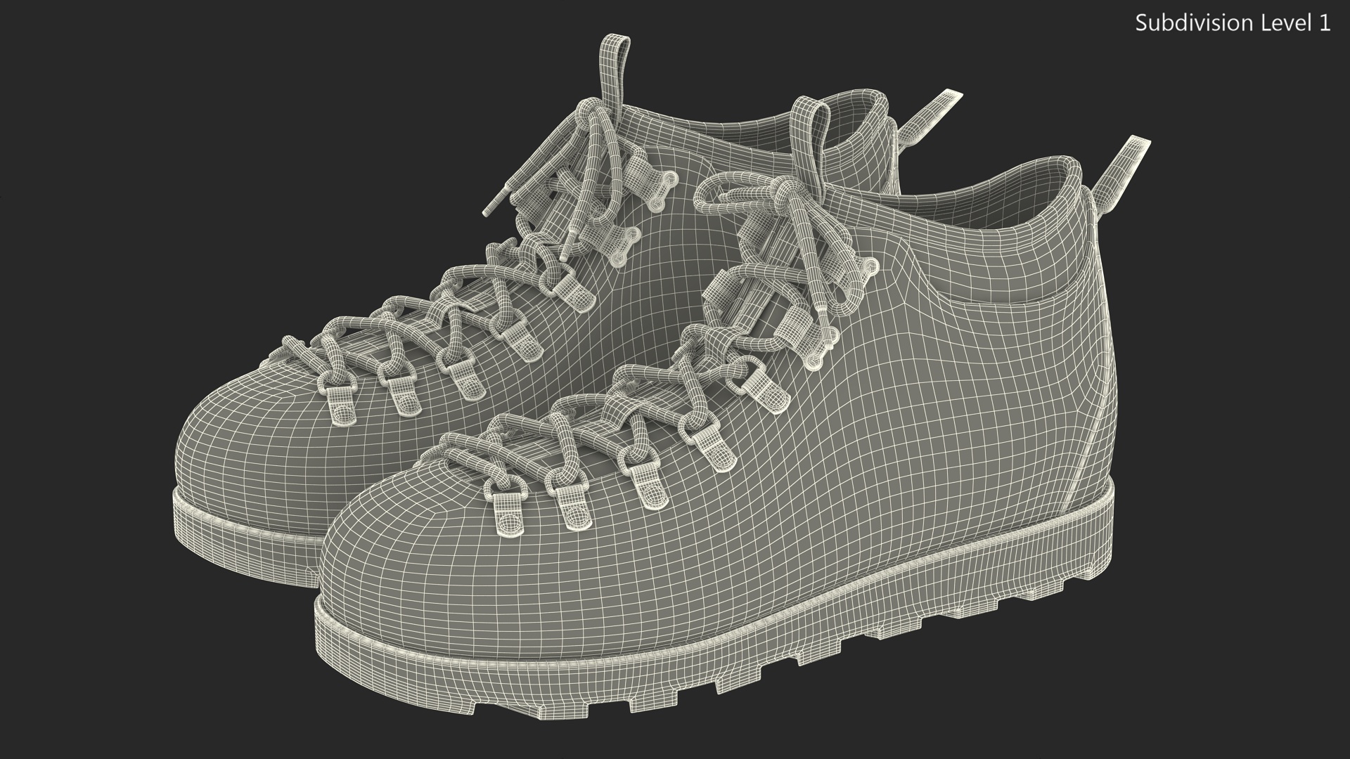 Native Boots 3D