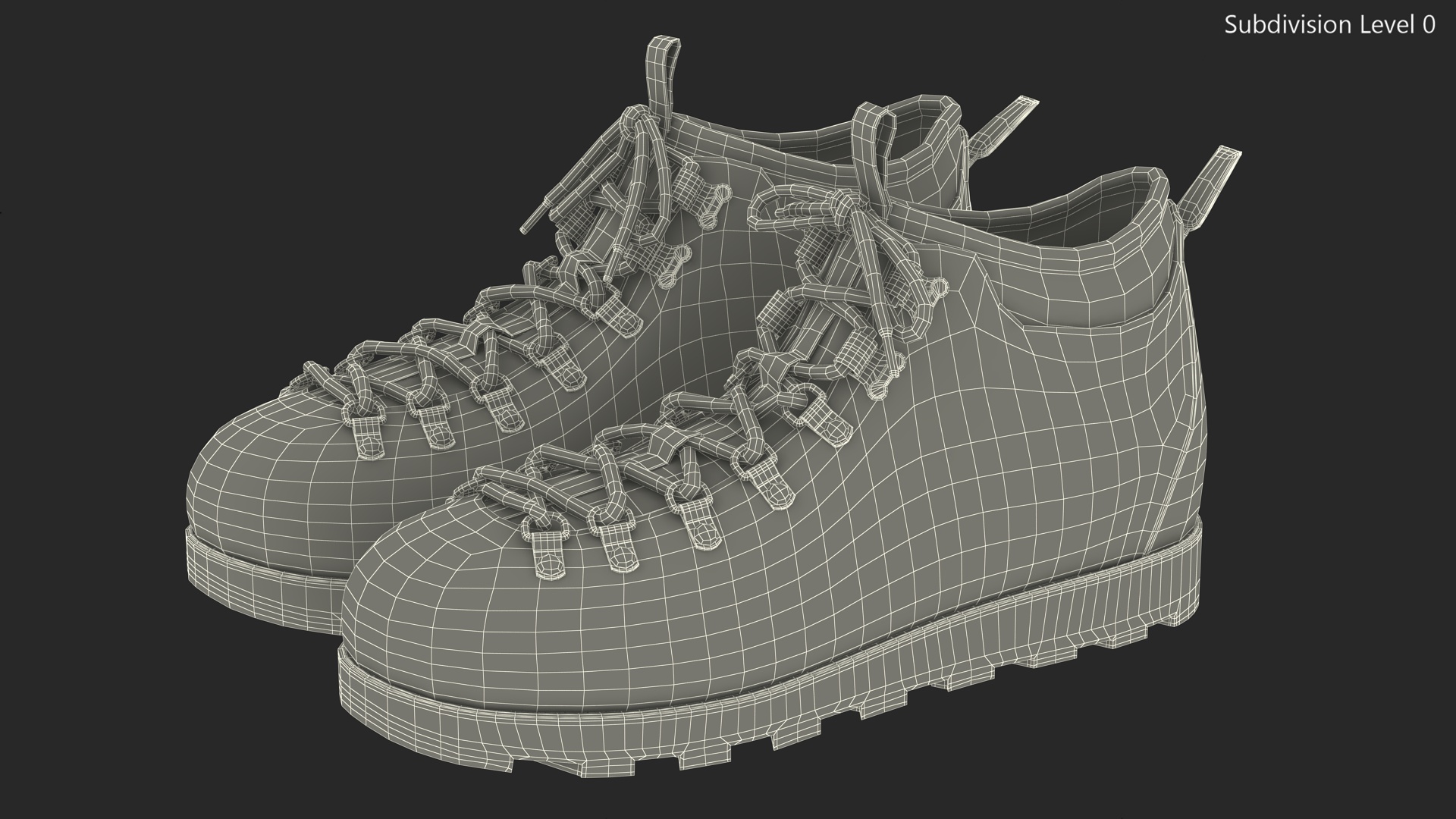 Native Boots 3D