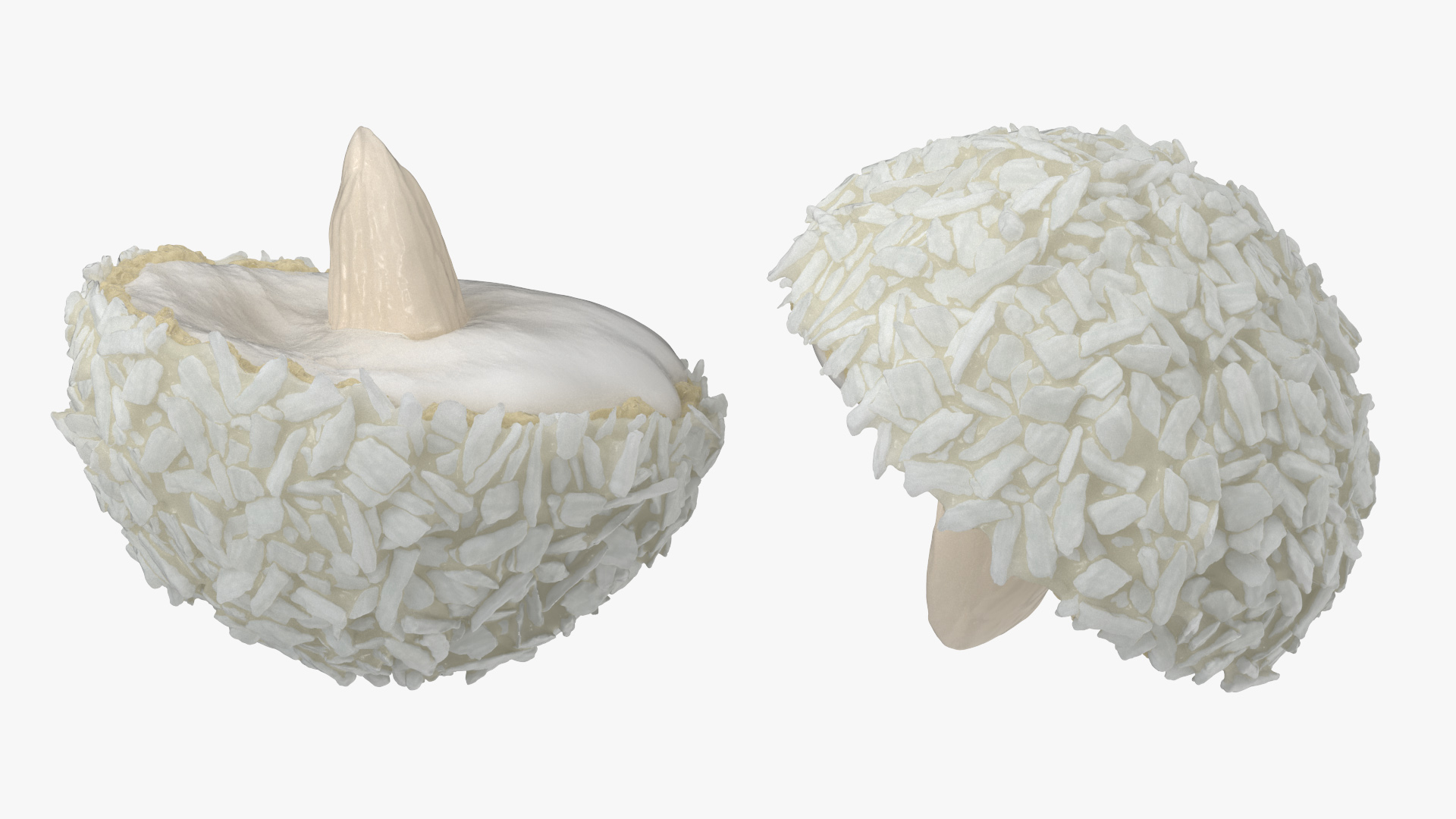 Half of Coconut White Chocolate Candy Ball 3D