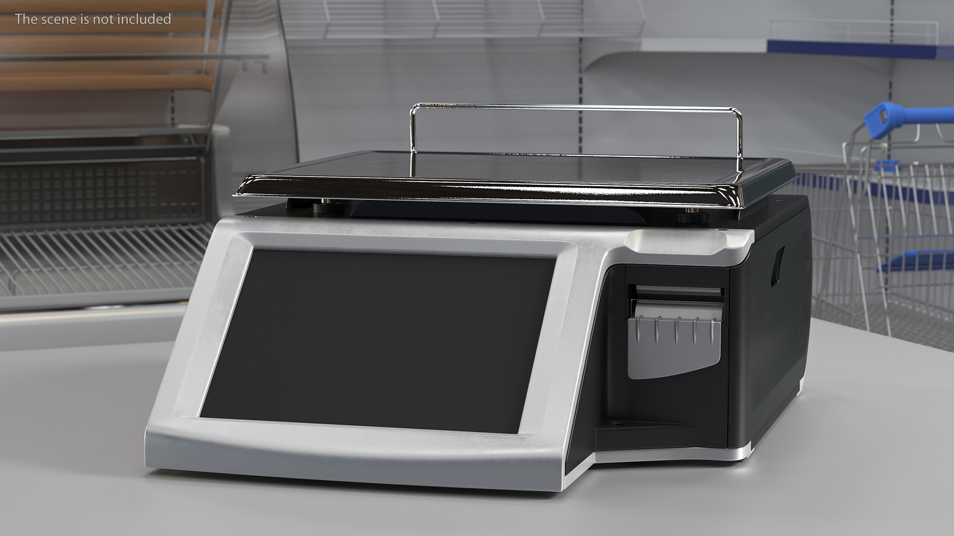 Self Service Scales 3D model