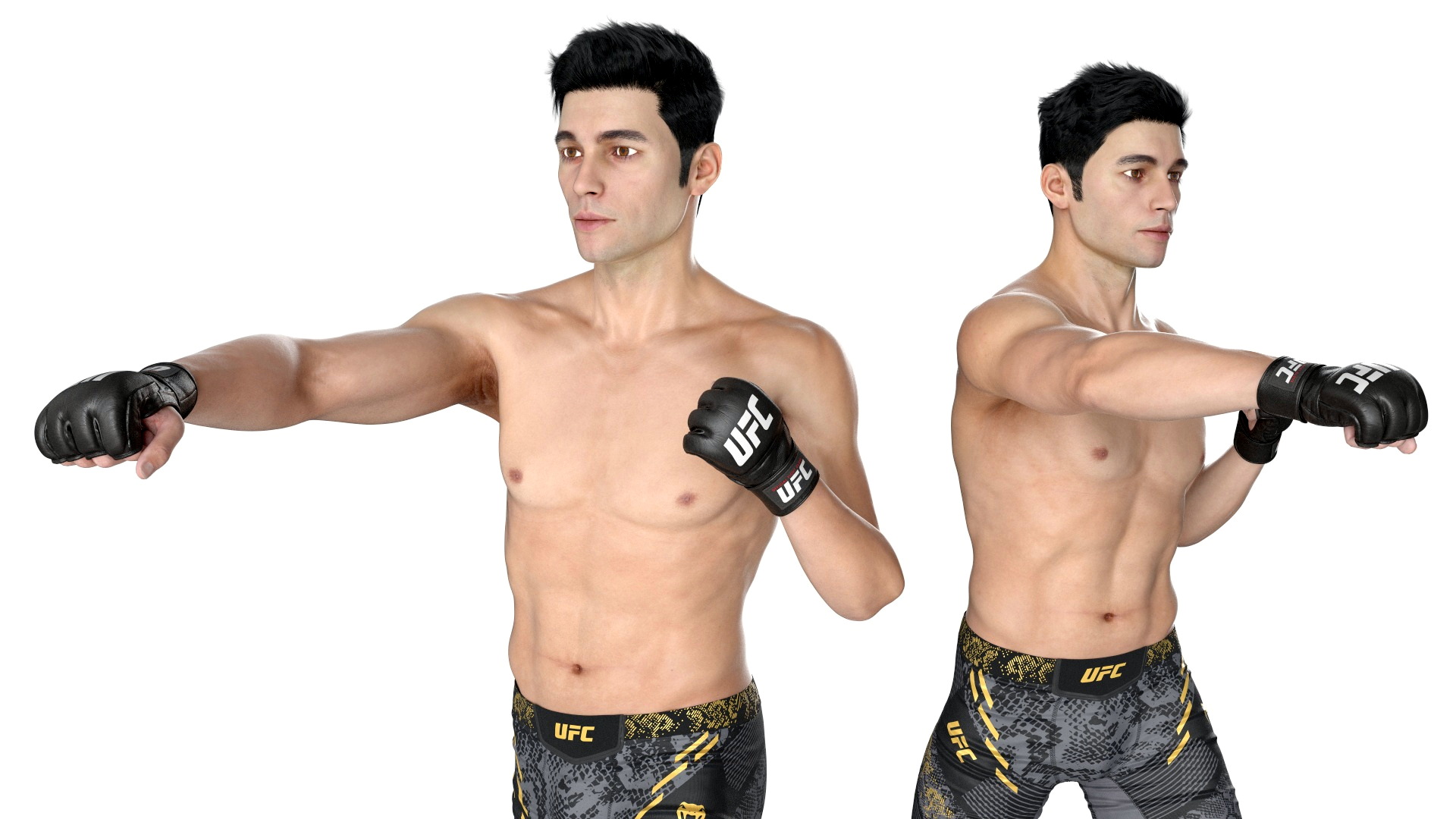 UFC MMA Fighter in Kicking Stance Fur 3D