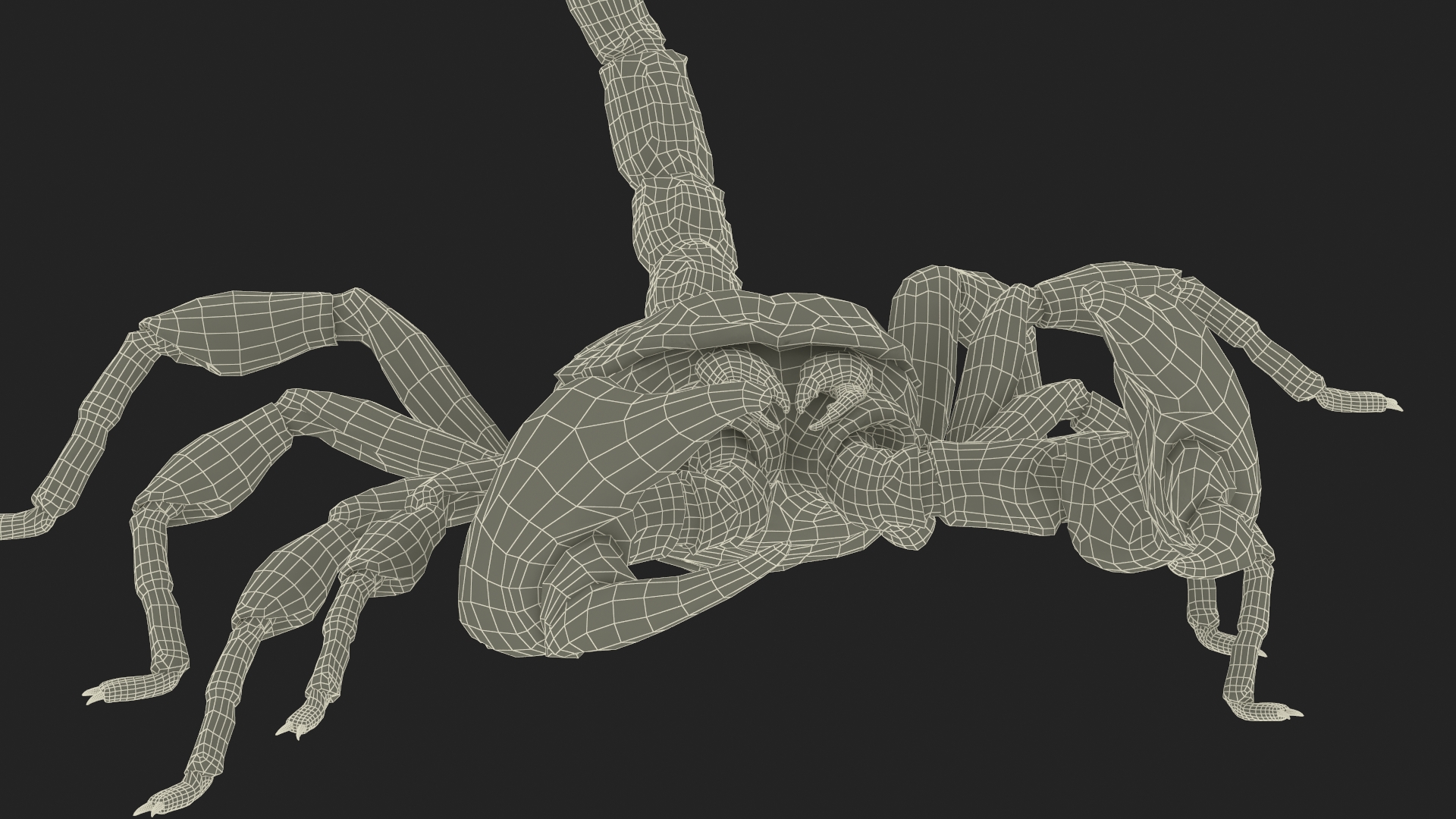 Realistic Scorpion Fur Rigged 3D model