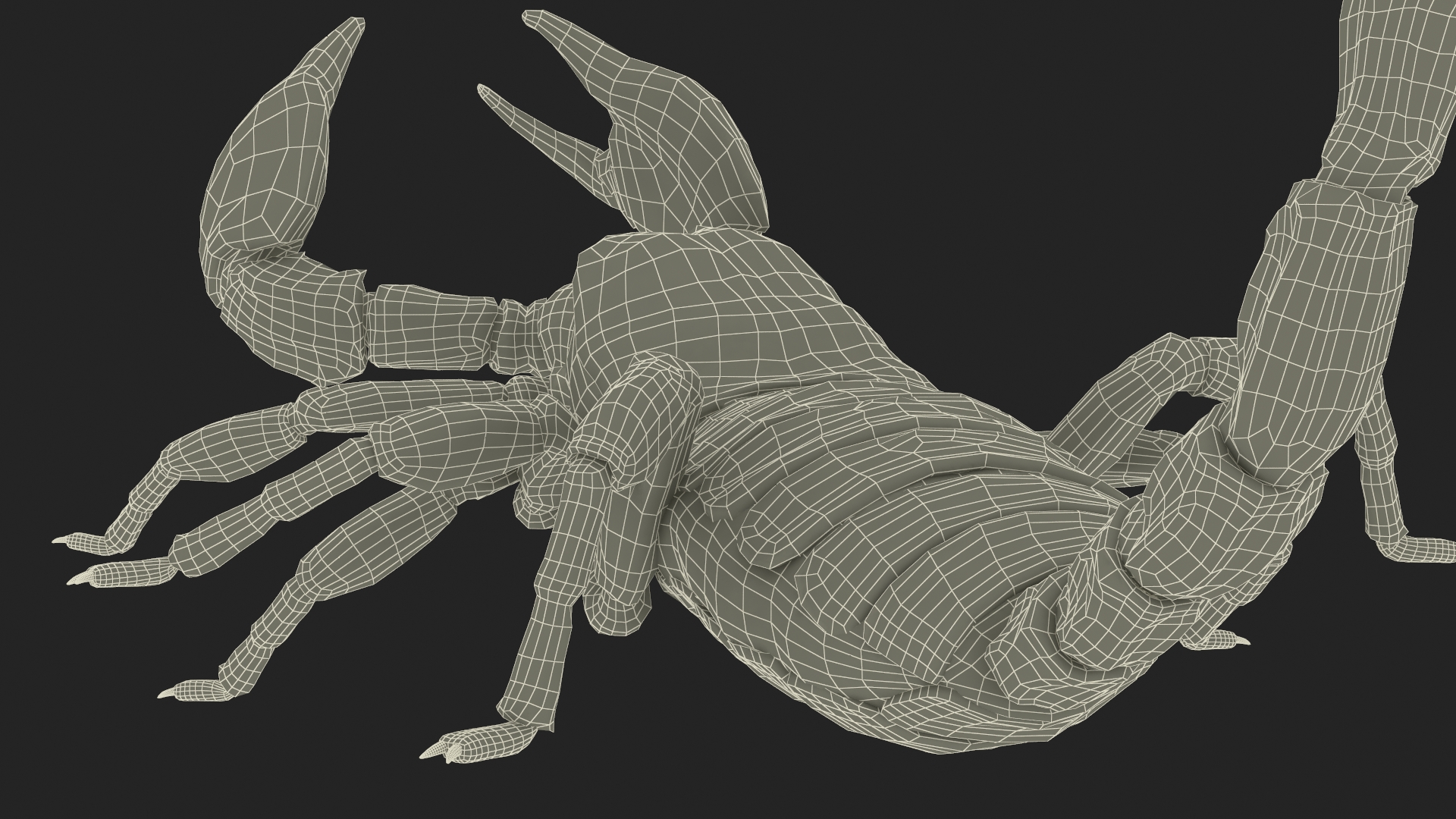 Realistic Scorpion Fur Rigged 3D model