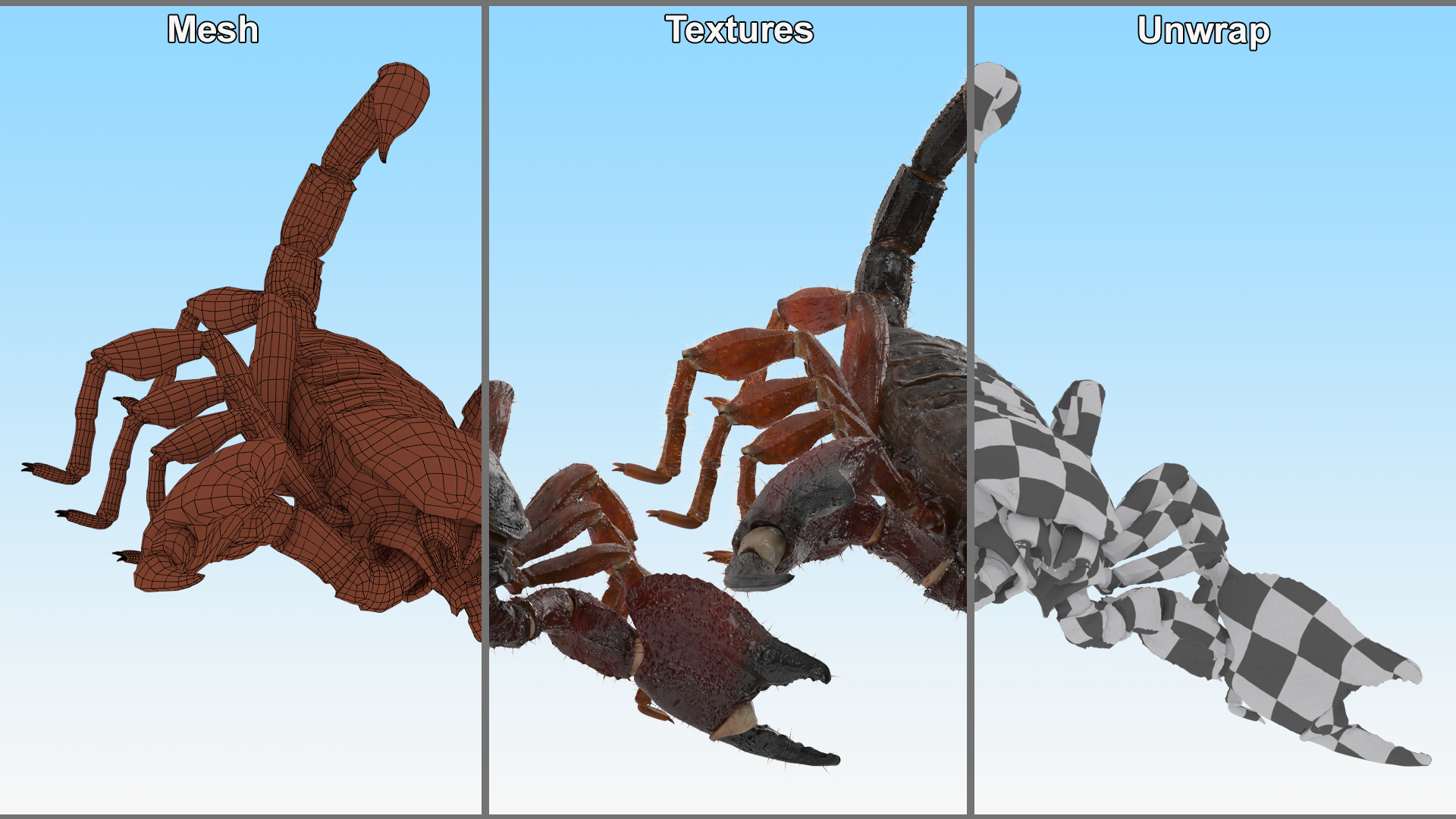 Realistic Scorpion Fur Rigged 3D model