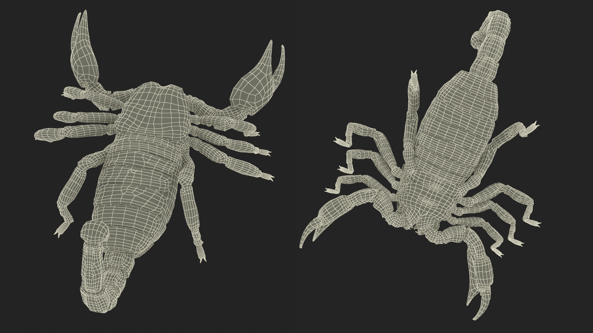 Realistic Scorpion Fur Rigged 3D model